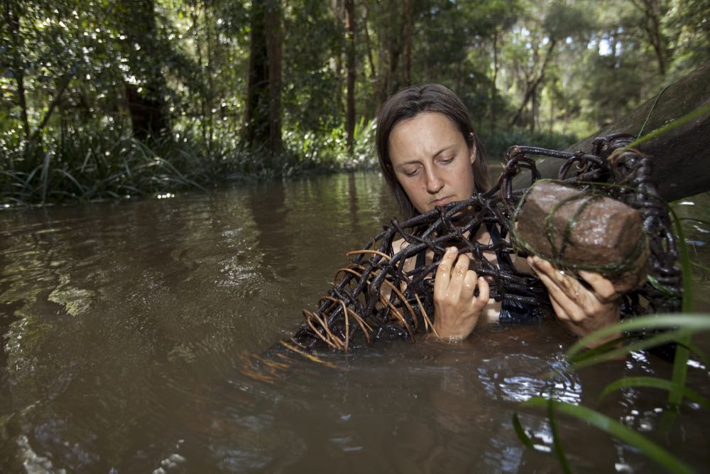 nature-rewilding-australian-geographic - 8.jpg