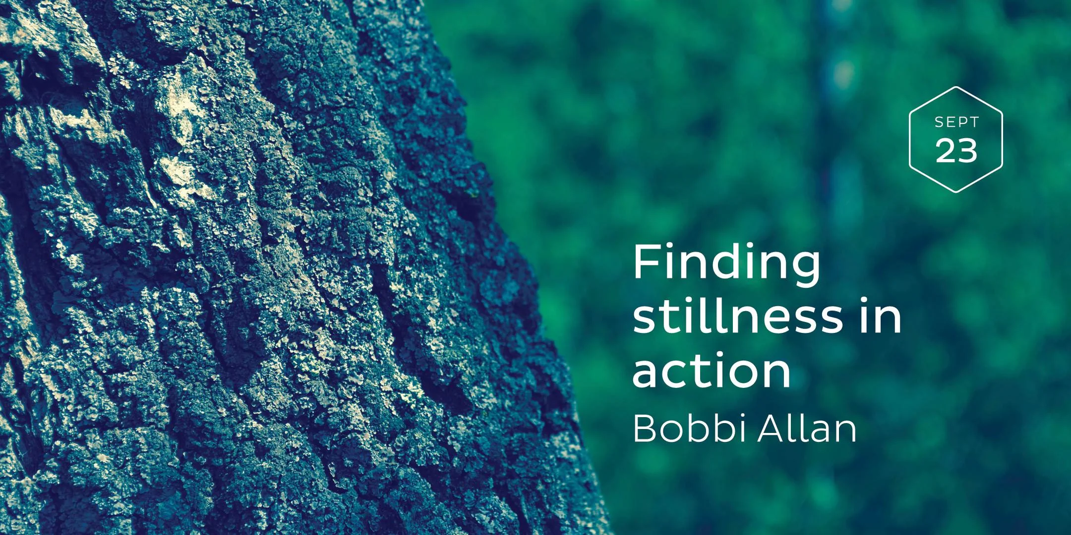 Finding stillness in action.jpg