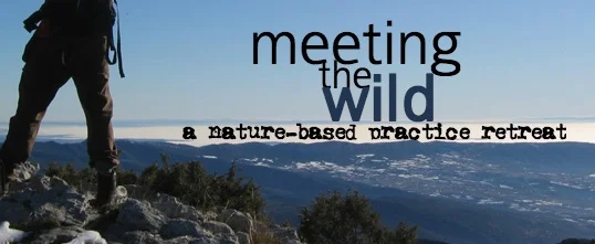 Meeting the Wild2.jpg