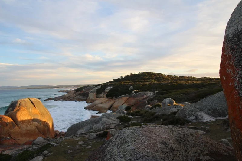 Morning-light-Bay-of-Fires-Tasmania.jpg