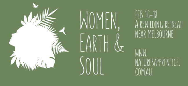 WomenRewild_mailbanner_171212.png