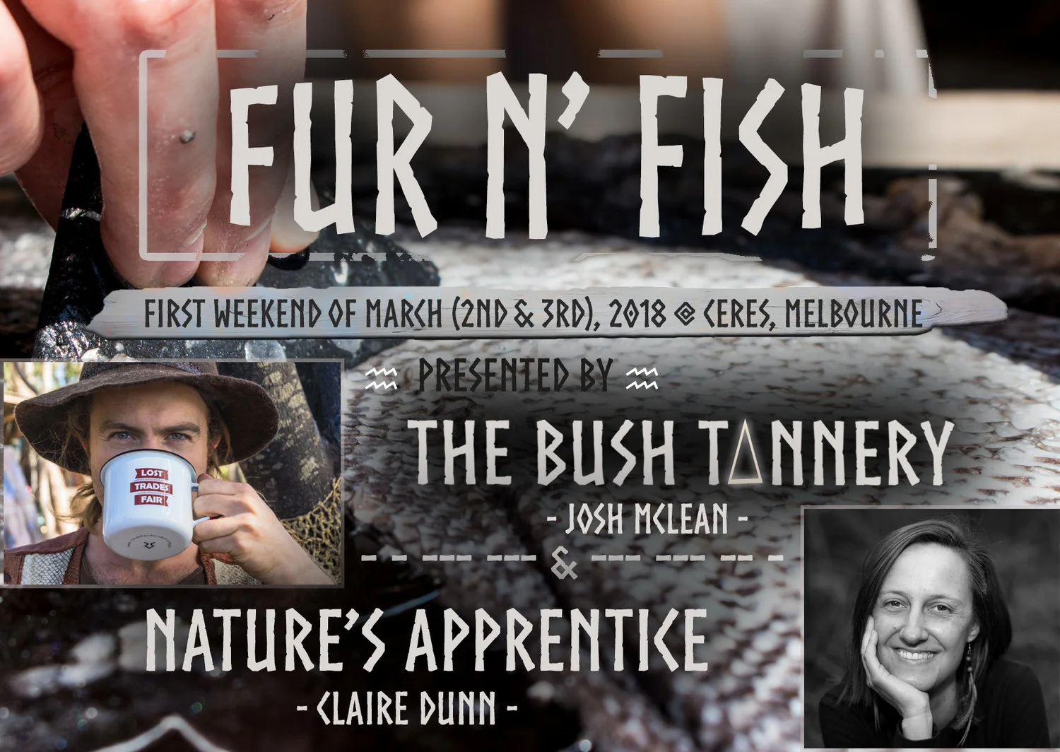 furnfishbanner big.jpg