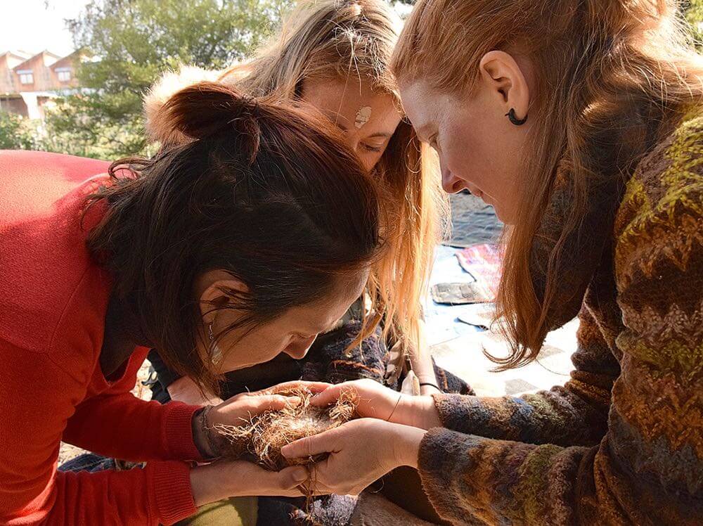nature-mentoring-claire-dunn-2-opt.jpg