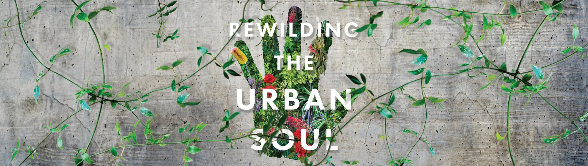 rewilding-web-banner-2000x565-01.jpg