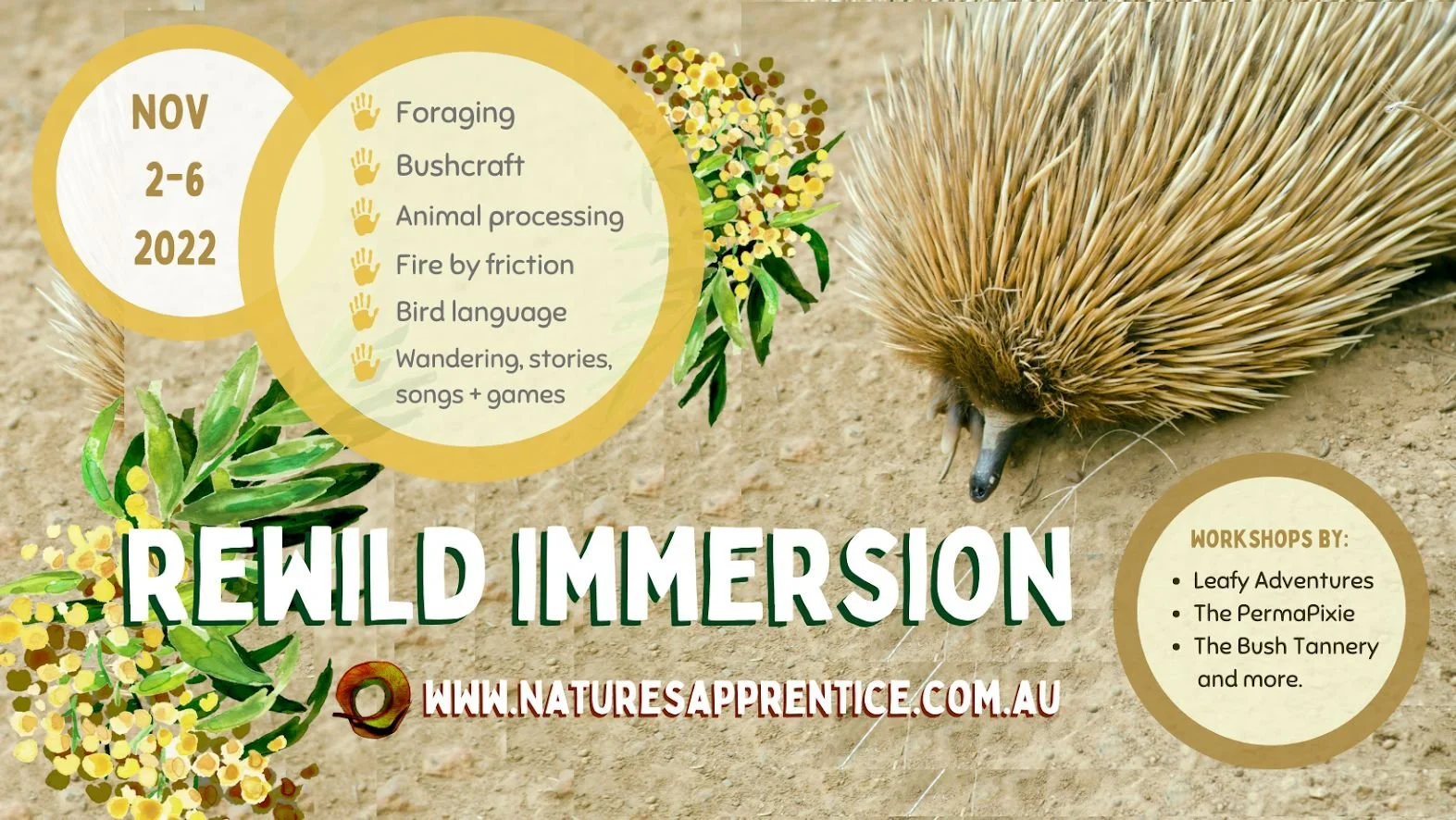 Rewild Immersion.jpeg