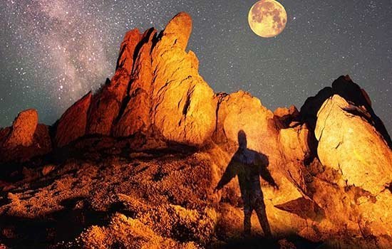 Sweet Darkness with Bill Plotkin