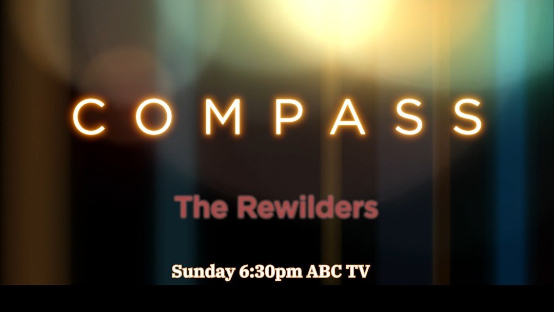 An exciting moment for Melbourne Rewilders - tomorrow night we are on ABC Compass!

The program follows a network of rewilders in Melbourne, as we discover ways to reconnect to nature, find our wild hearts and nourish our souls while living in the ci
