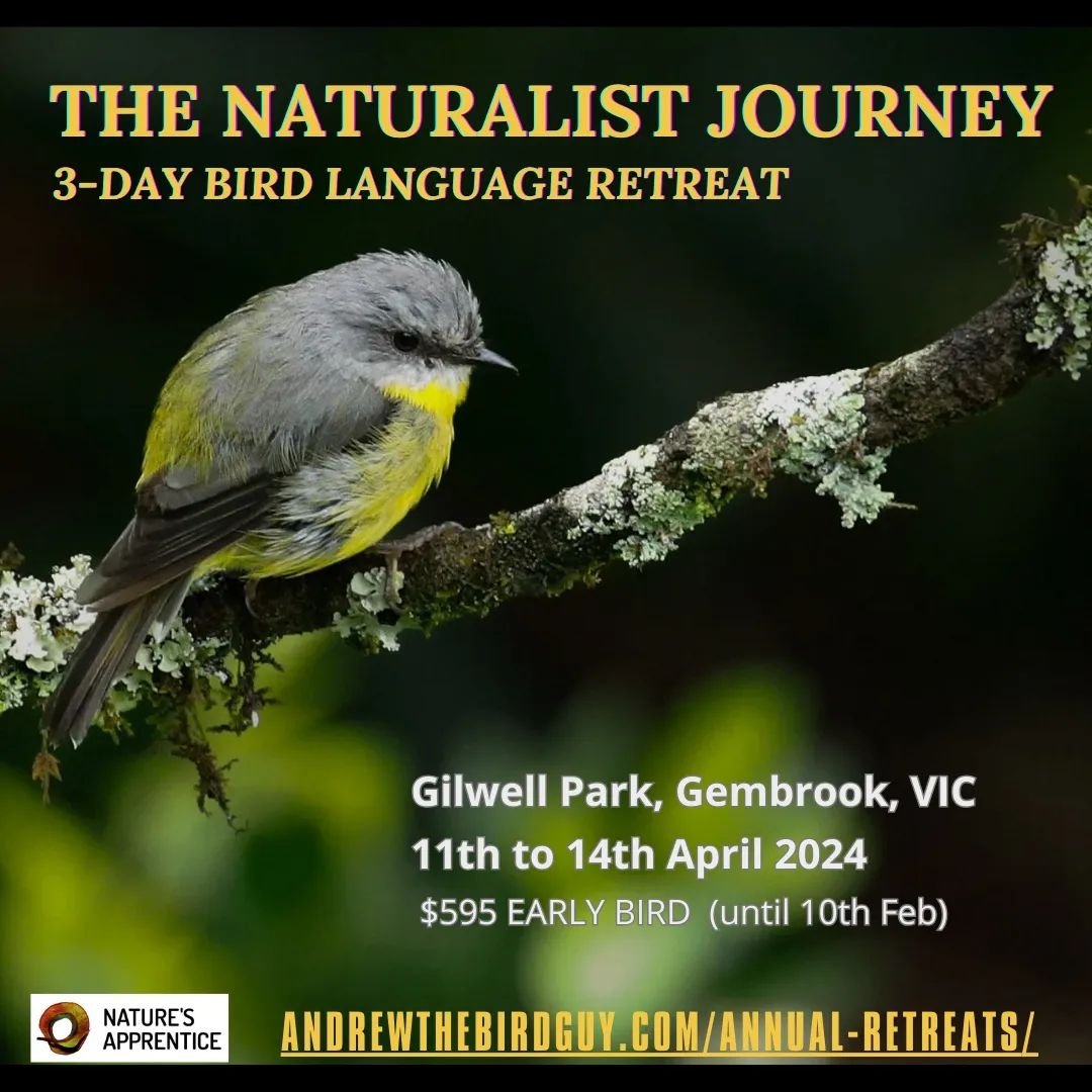@andrewthebirdguy and Nature's Apprentice present...

The Naturalist Journey - 3-day Bird Language Retreat

April 11th to 14th

Learn to track wild predators, supercharge your senses and connect deeply with nature, through the unique teachings of bir