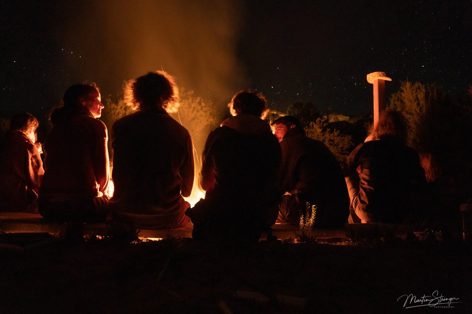 20211203-NBLT_DSC03542-©-Martin Stringer(web).jpg