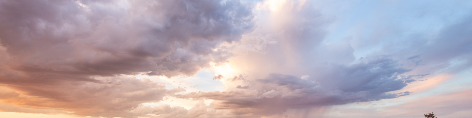 Untitled design (2).png