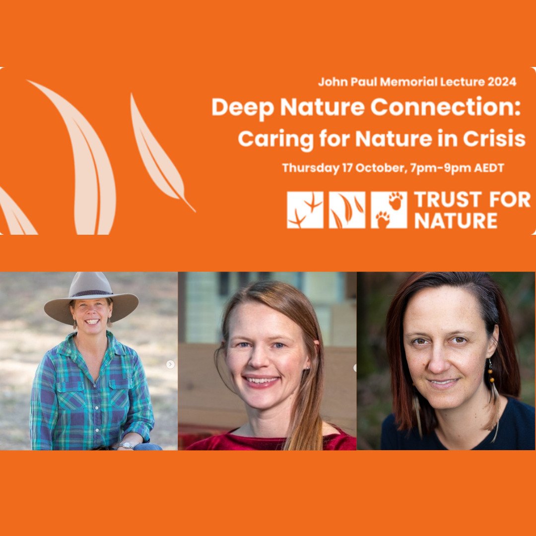 Free webinar tomorrow!

I'll be speaking alongside two other women on the topic of deep nature connection.

&lsquo;We cannot protect something we do not love, we cannot love what we do not know, and we cannot know what we do not see. Or hear. Or sens