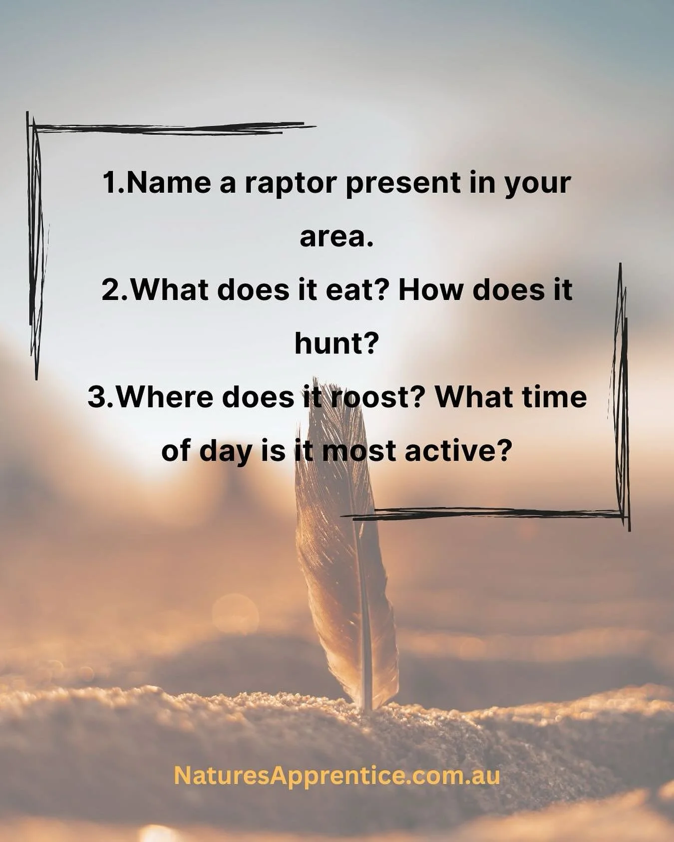 RAPTOR AWARENESS

A shadow glides silently across the ground and something ancient stirs.
&nbsp;
Raptors are the apex of the skies. Fierce, focused, and finely tuned to the landscape. 
Their presence tells us something about the health of the food we