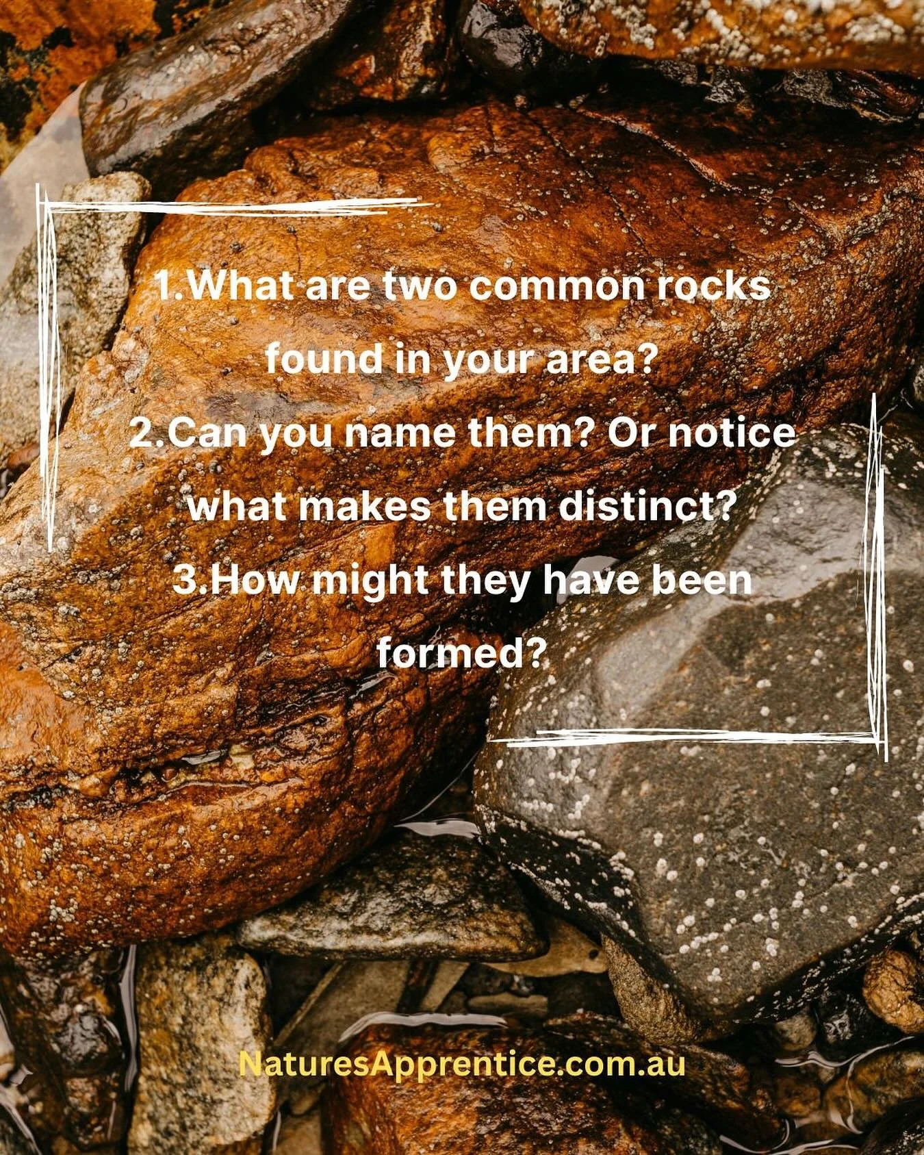 ROCKS HOLD THE MEMORY OF EARTH
Beneath your feet lies deep time.
&nbsp;
The Tourist Test (from Jon Young) reminds us to develop sensory intimacy with our surroundings, including what&rsquo;s not green or growing.
&nbsp;
Here&rsquo;s the invitation &n