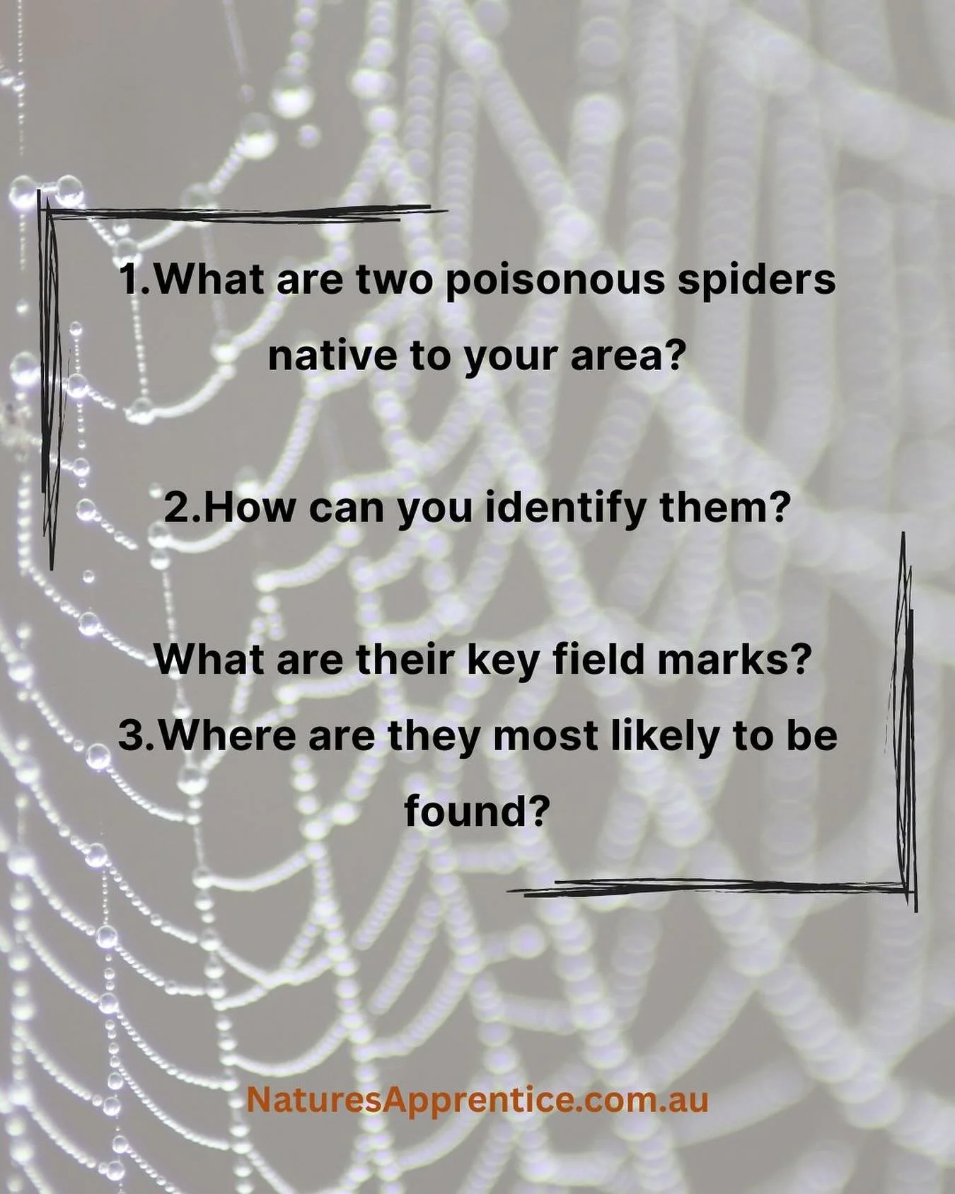 KNOW YOUR POISONOUS NEIGHBOURS
The natural world is full of beauty and danger, as well as wisdom and warning.
True connection comes with attention. Not with fear, but with healthy respect.
&nbsp;
The Tourist Test (from mentor Jon Young) invites us to