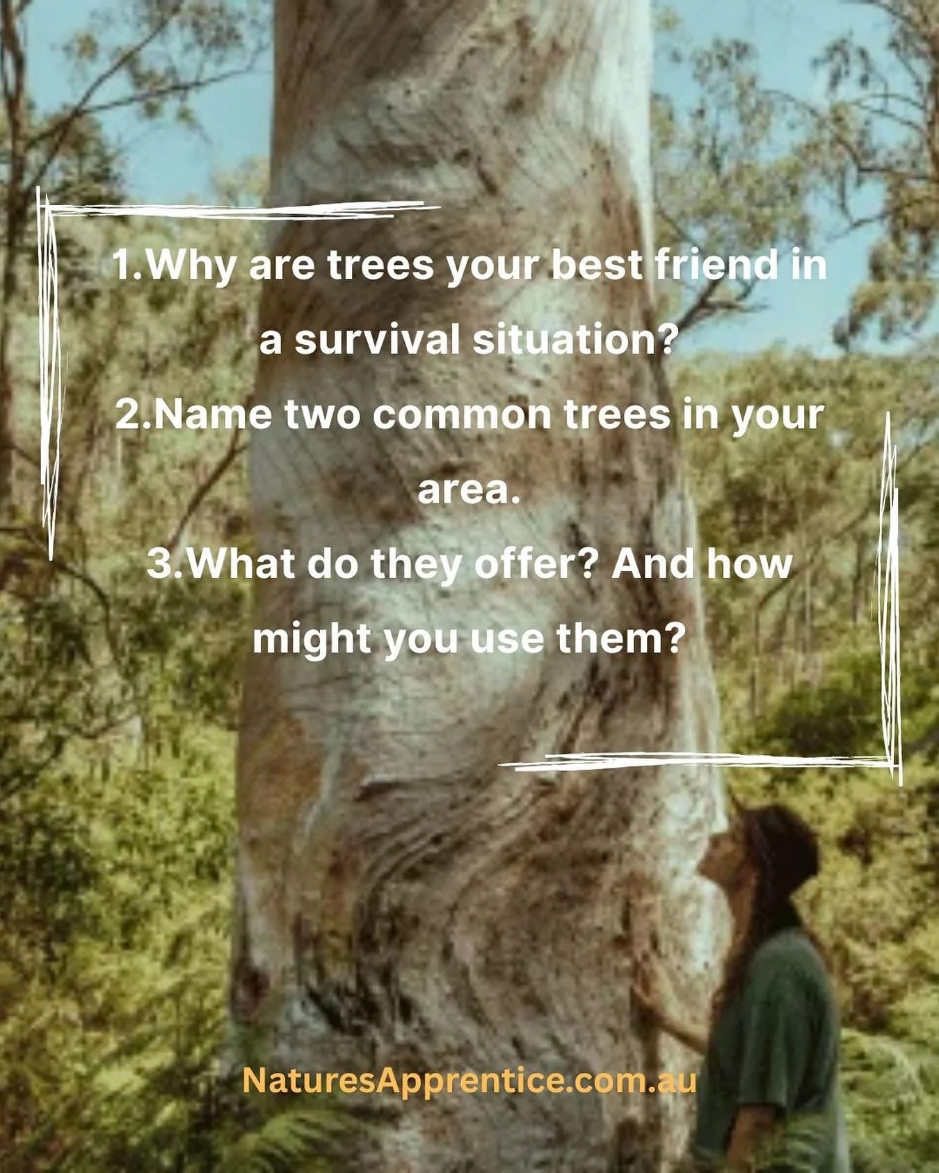 TREES: YOUR SURVIVAL ALLIES
If you had to live off the land, who would you turn to?
&nbsp;
In a survival situation, trees are not just part of the scenery, they are shelter, water, fire, food, medicine, and tools. They offer protection, perspective, 