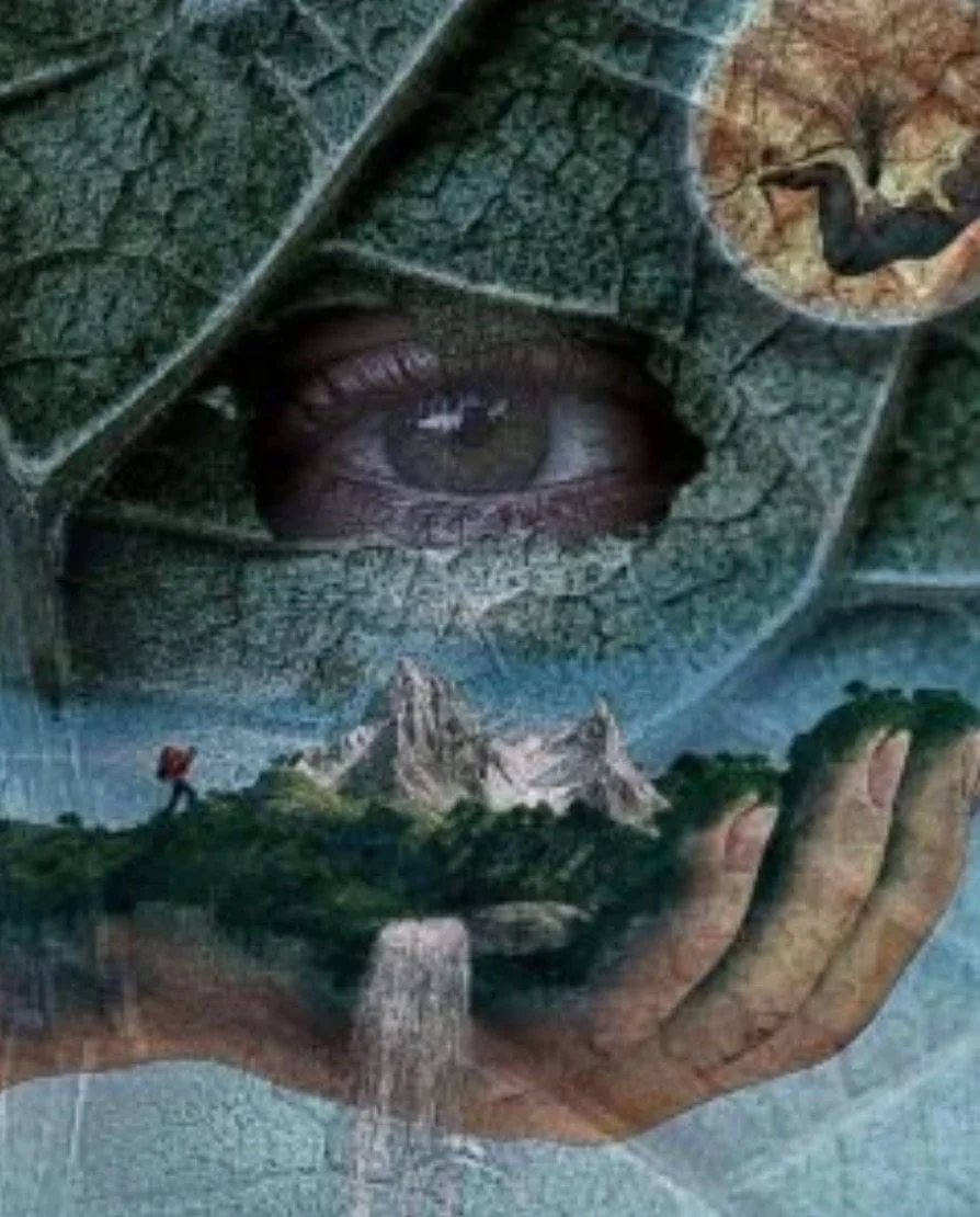 The Animas Quest