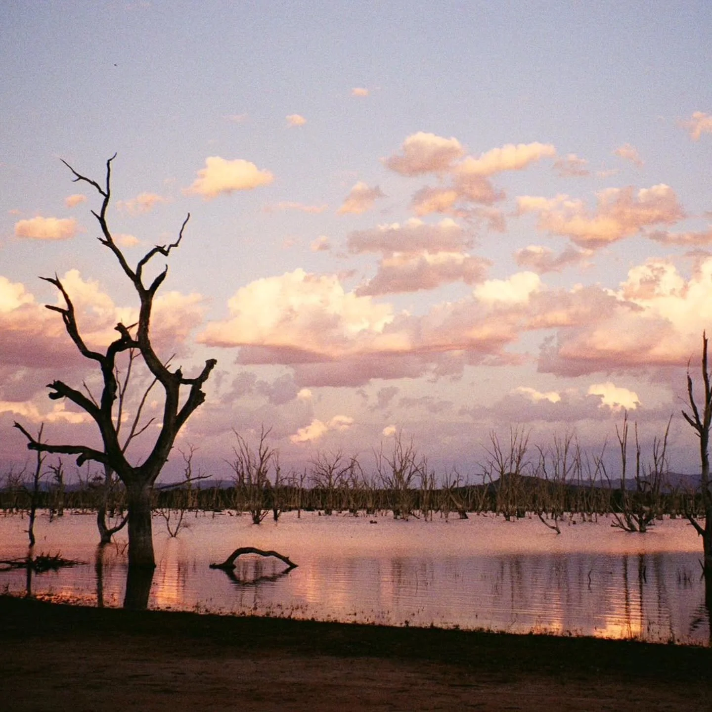 Slow media at its best.

These beautiful photos of the Wild Threshold Crossing have just been developed from apprentice @zoe.pparsons's FILM CAMERA. Thanks Zoe for capturing these special moments, and allowing them to take their time to emerge!

It o