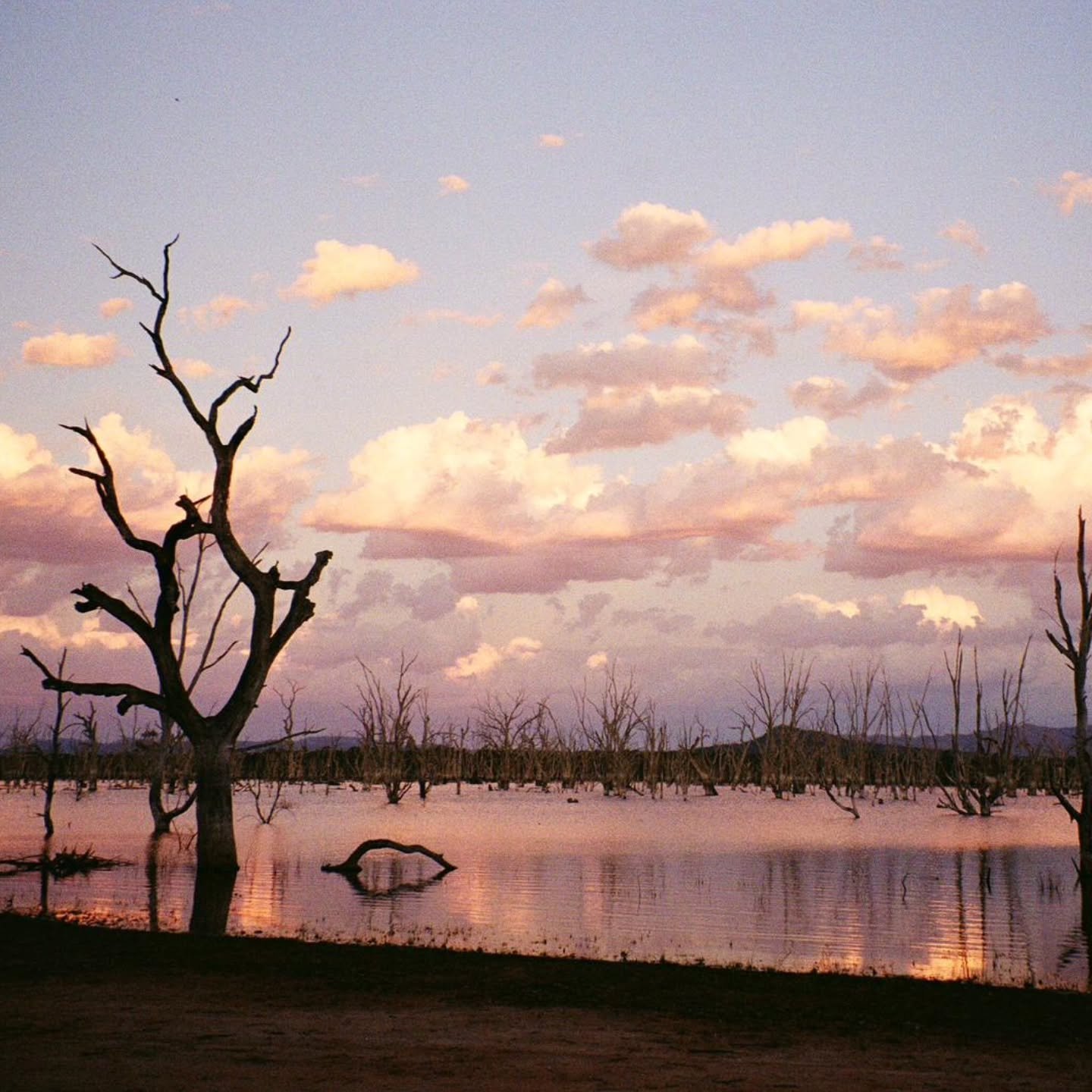 Slow media at its best.

These beautiful photos of the Wild Threshold Crossing have just been developed from apprentice @zoe.pparsons's FILM CAMERA. Thanks Zoe for capturing these special moments, and allowing them to take their time to emerge!

It o