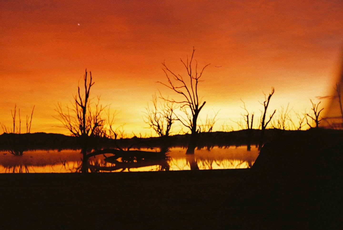 Slow media part II

More Threshold Crossing moments captured, this time from @aljeffery_ 's film camera. Thanks Al. What a stunning sky.

This year we experimented with arriving the day before the day before, allowing a full day to drop in with the l