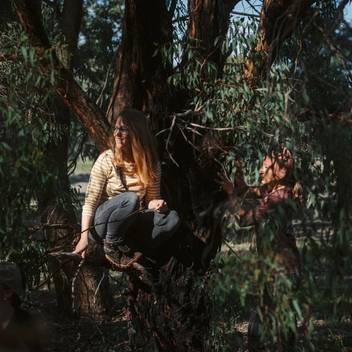&ldquo;If we learn to read the birds&hellip; we can read the world at large,&rdquo; says a mentor of mine Jon Young.

Last Friday at the Nature-Based Leadership Training we swung the door open to the land of Bird Language, learning the 5 calls of the