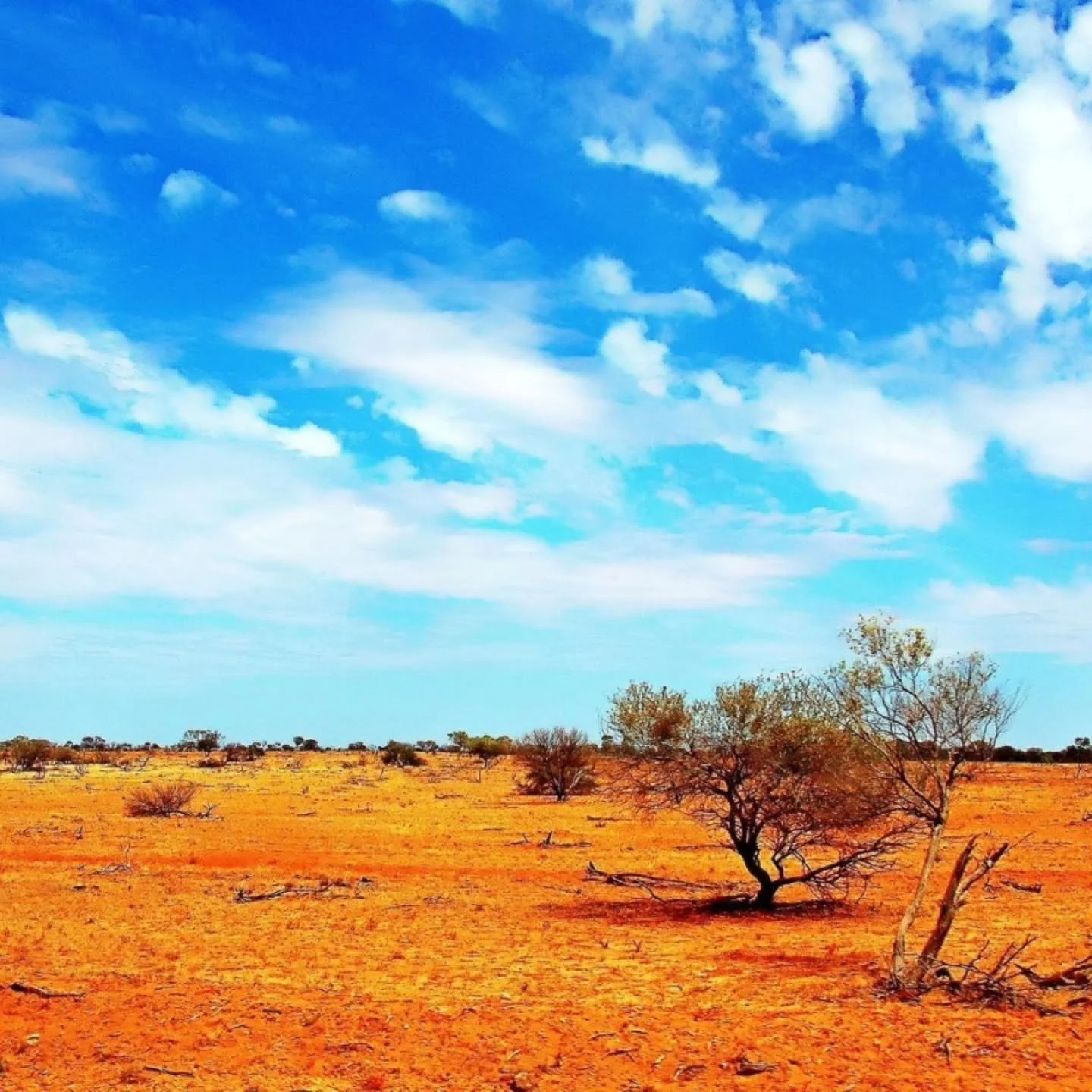 I've never been to the Red Centre before. I've been waiting for a reason. This July might be it.

I'll be assisting Animas Valley Institute in bringing their two flagship intensives - Soulcraft and Wild Mind - to the red sands and wild gorges of East