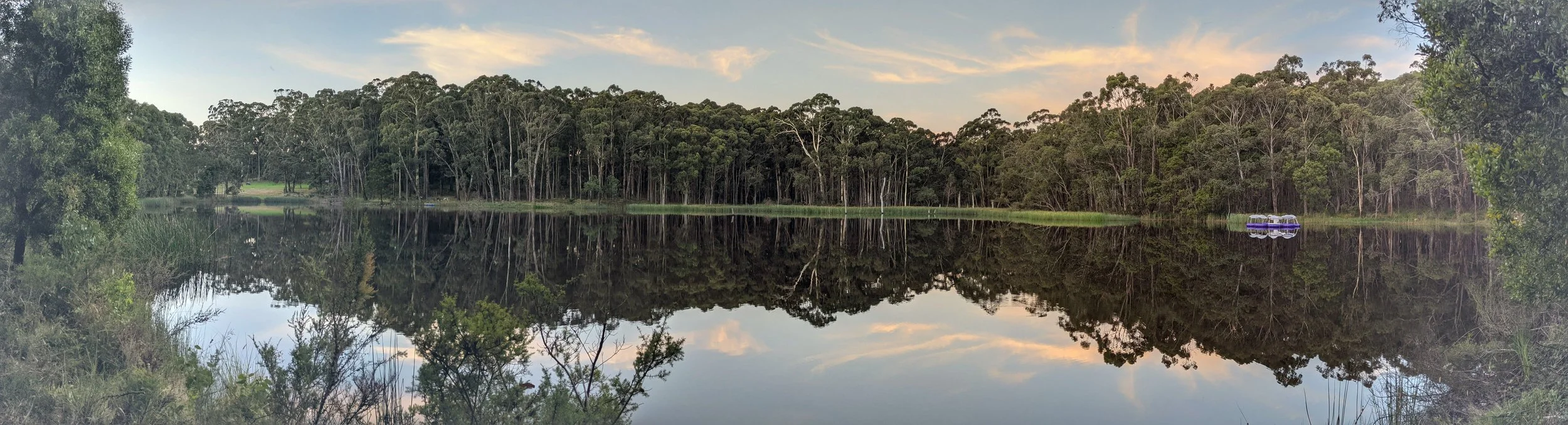 PXL_20210312_084733303-PANO.jpg