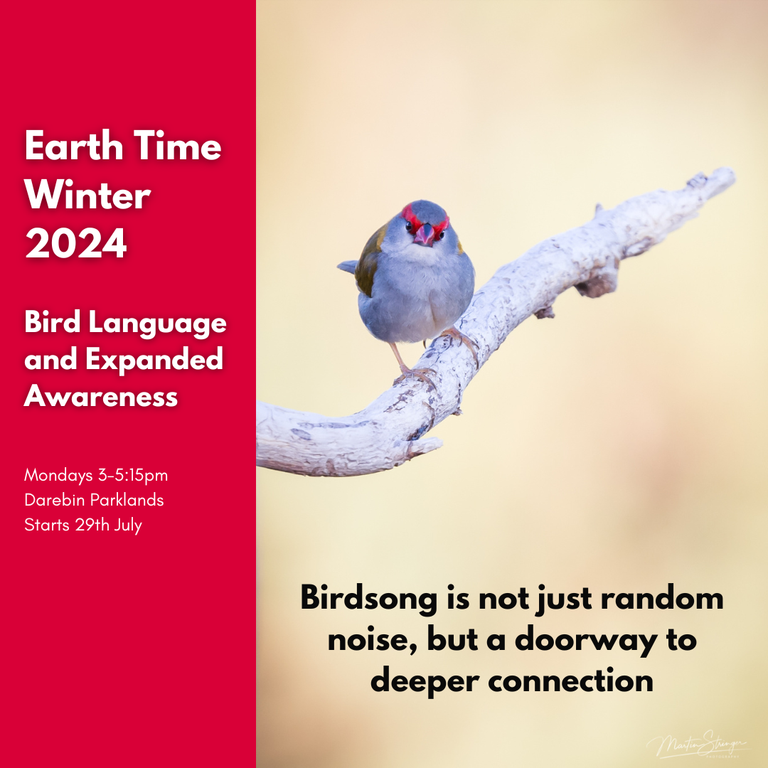 Earth Time Term Bird Language Winter.png