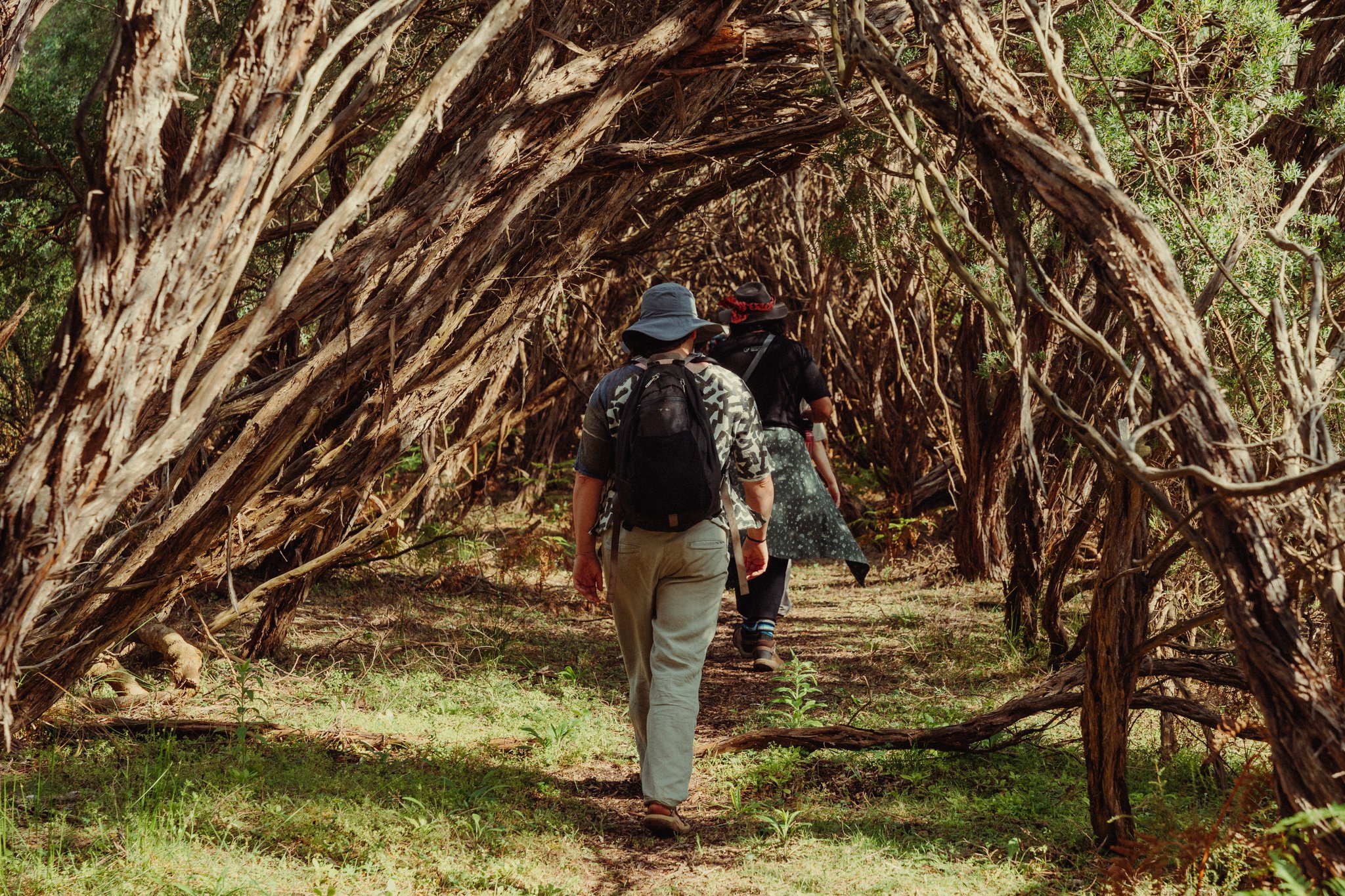 Earth Time: Into the Wild World
