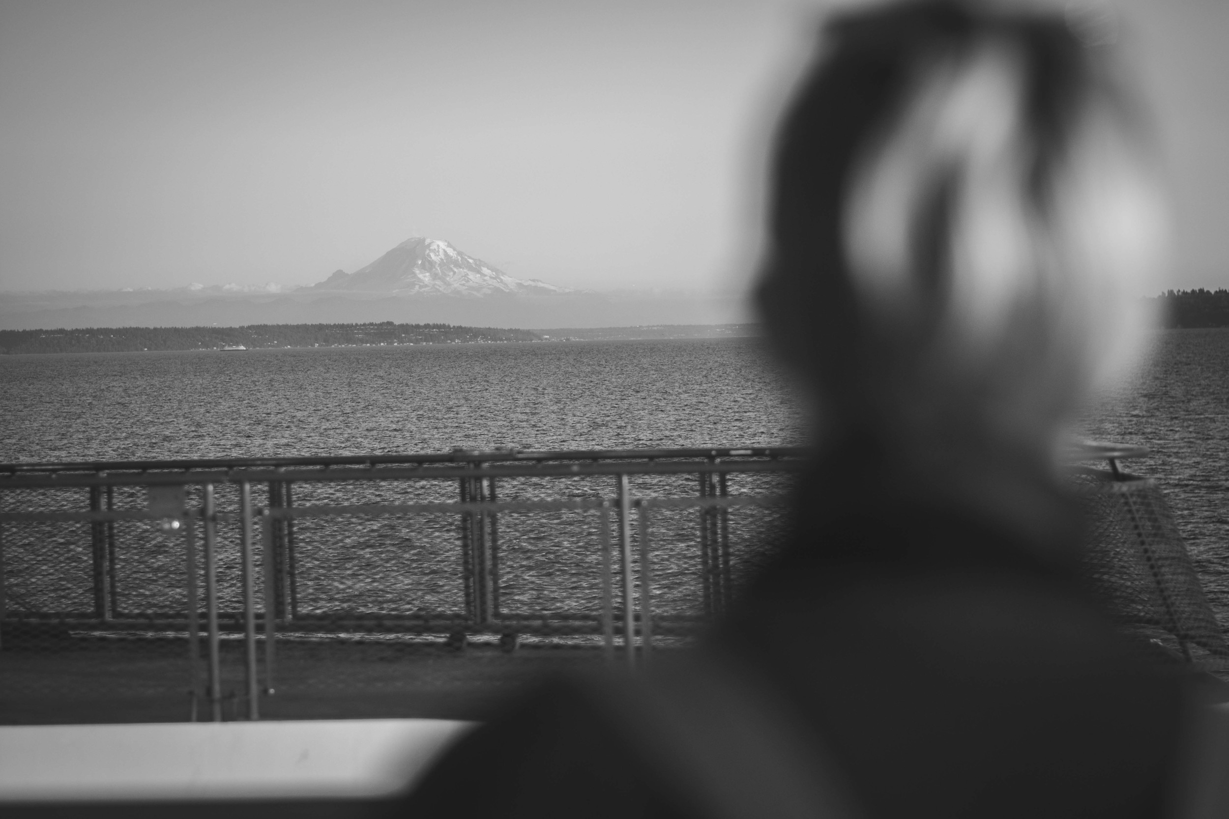  Taking in the view of Mt. Rainier 