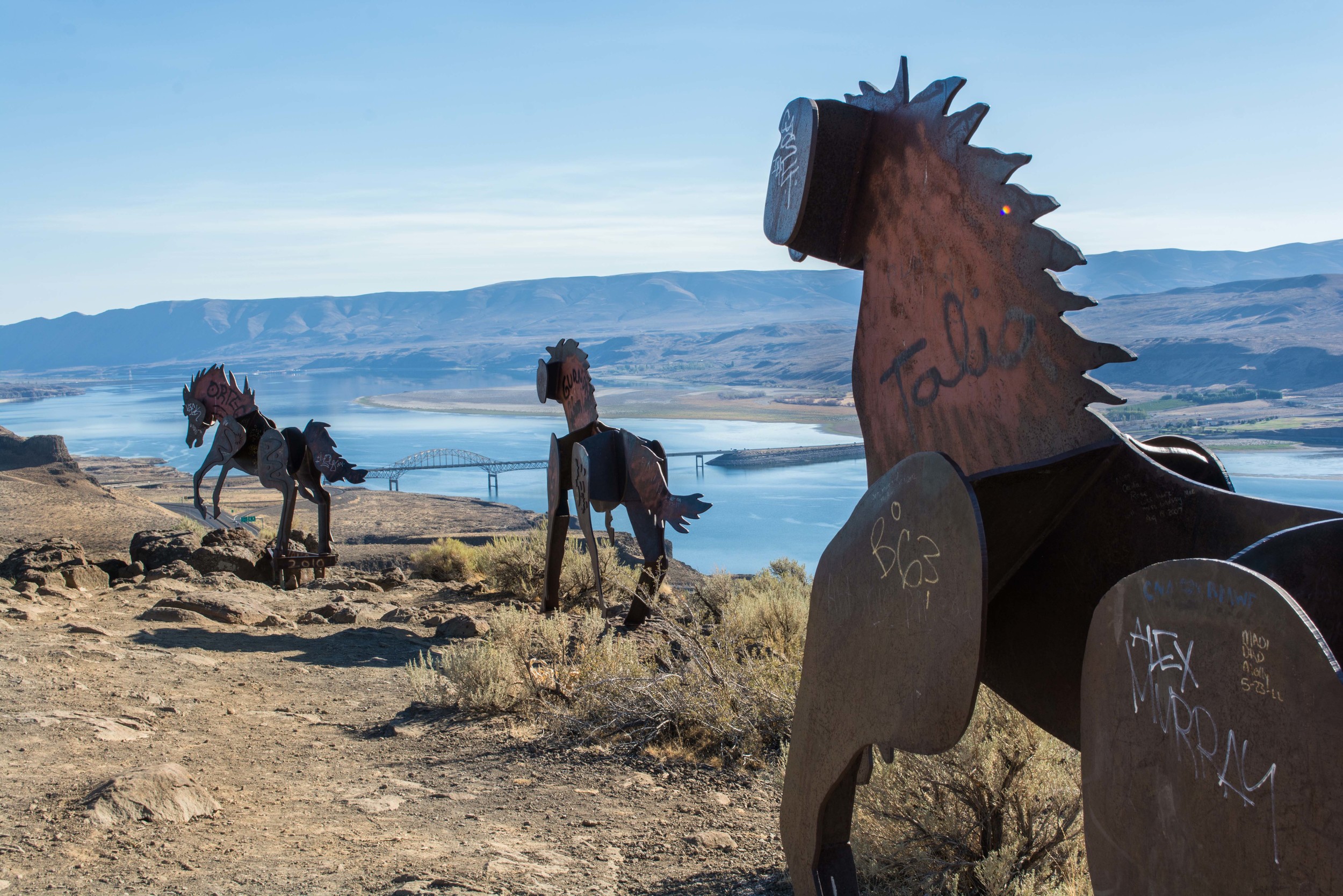  The view at the top of the Wild Horses monument near the Columbia River 