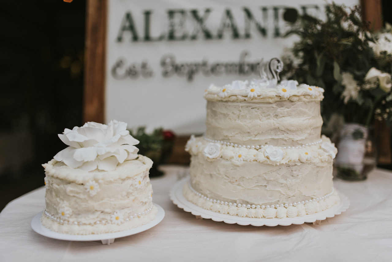 AlexanderWedding248.jpg