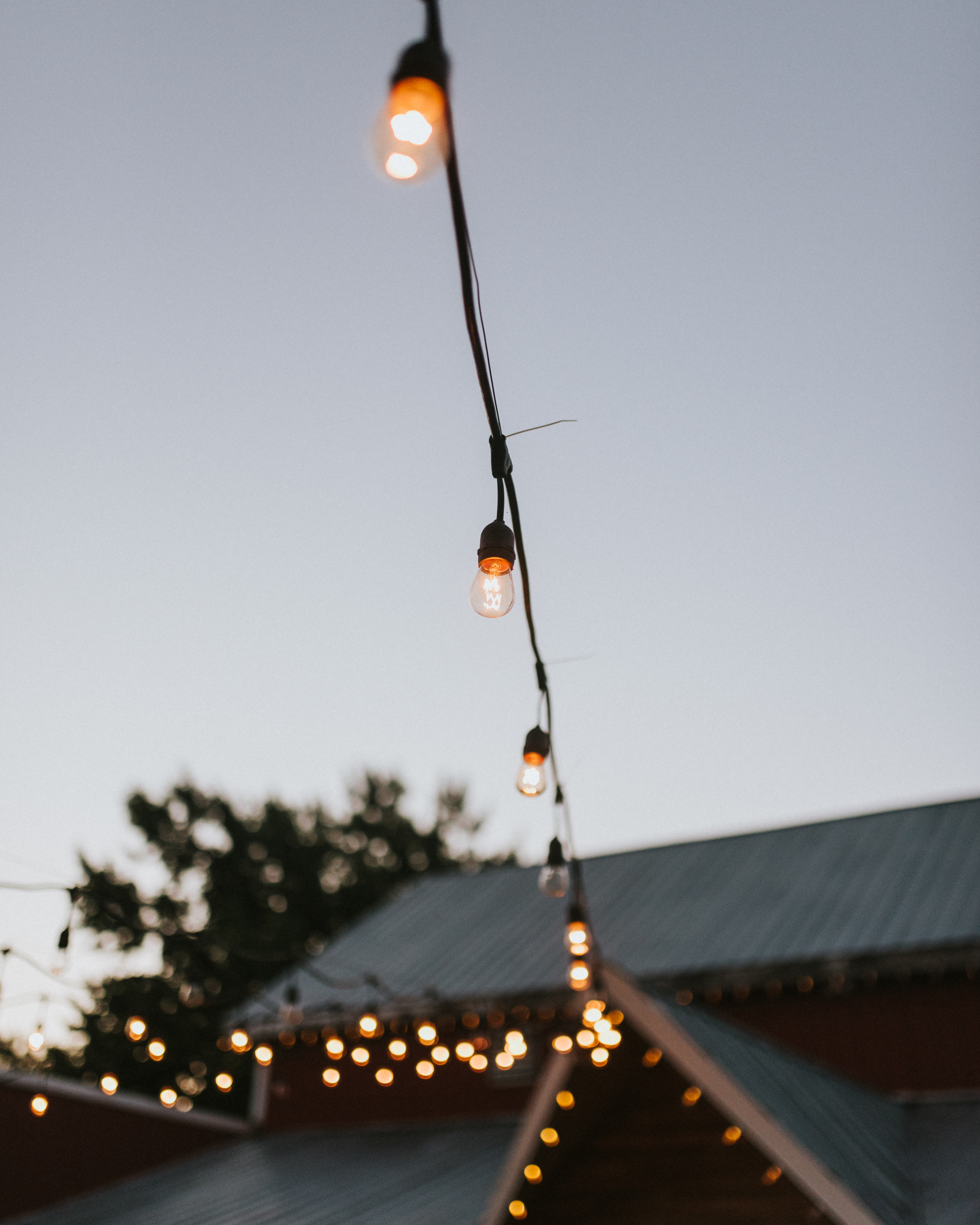 ZehmWedding1056.jpg