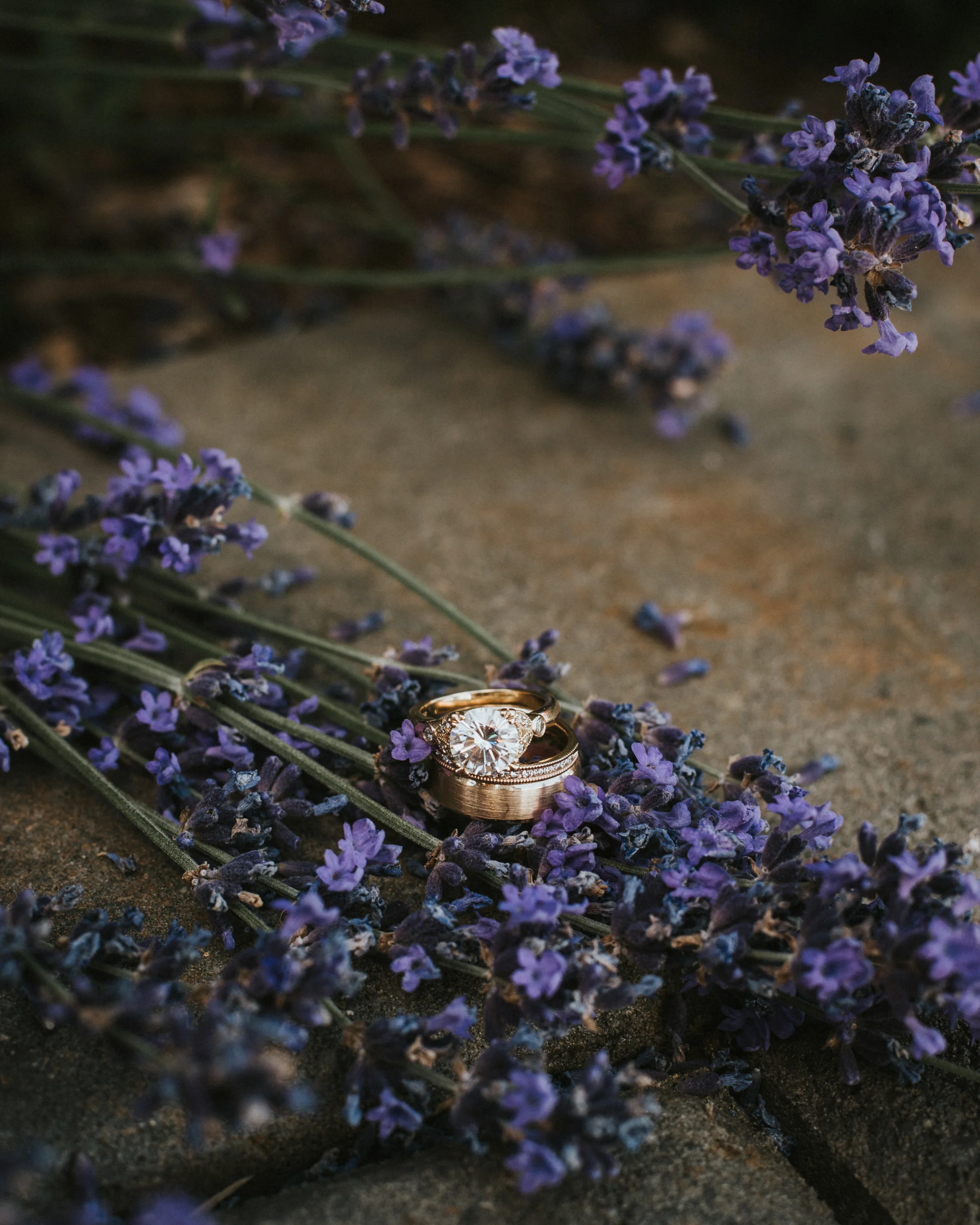 SacryWedding020.jpg