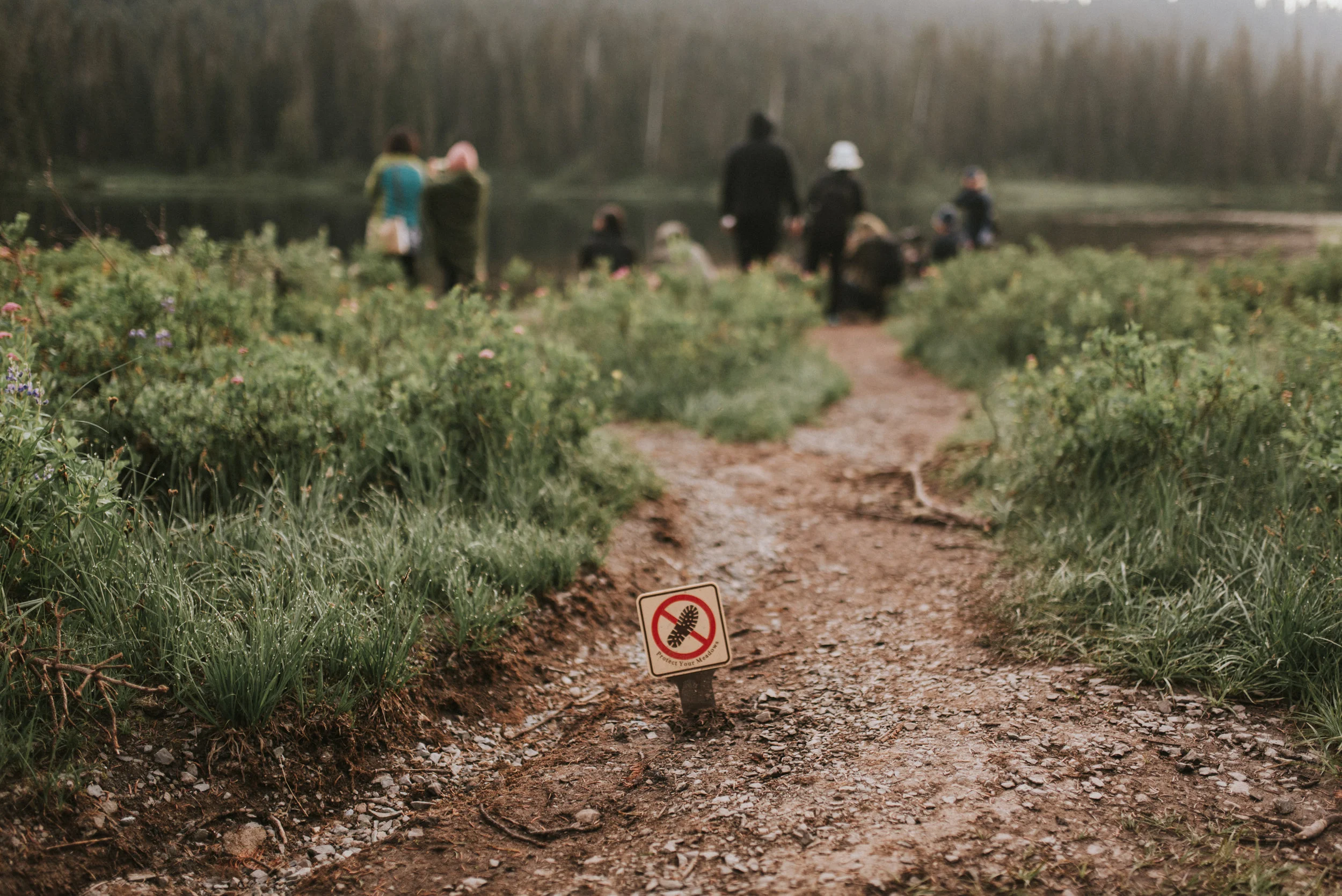 Left: my backpack with trash strapped to it that we picked up on the Skyline trail. Above: Multiple tourists cross a sign alerting people that the fragile meadows should not be walked on.