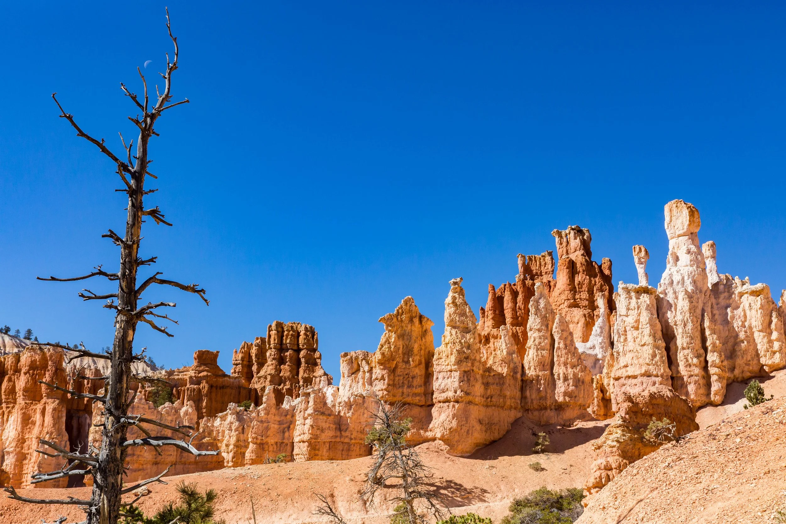 8_206039-Bryce Canyon.jpg