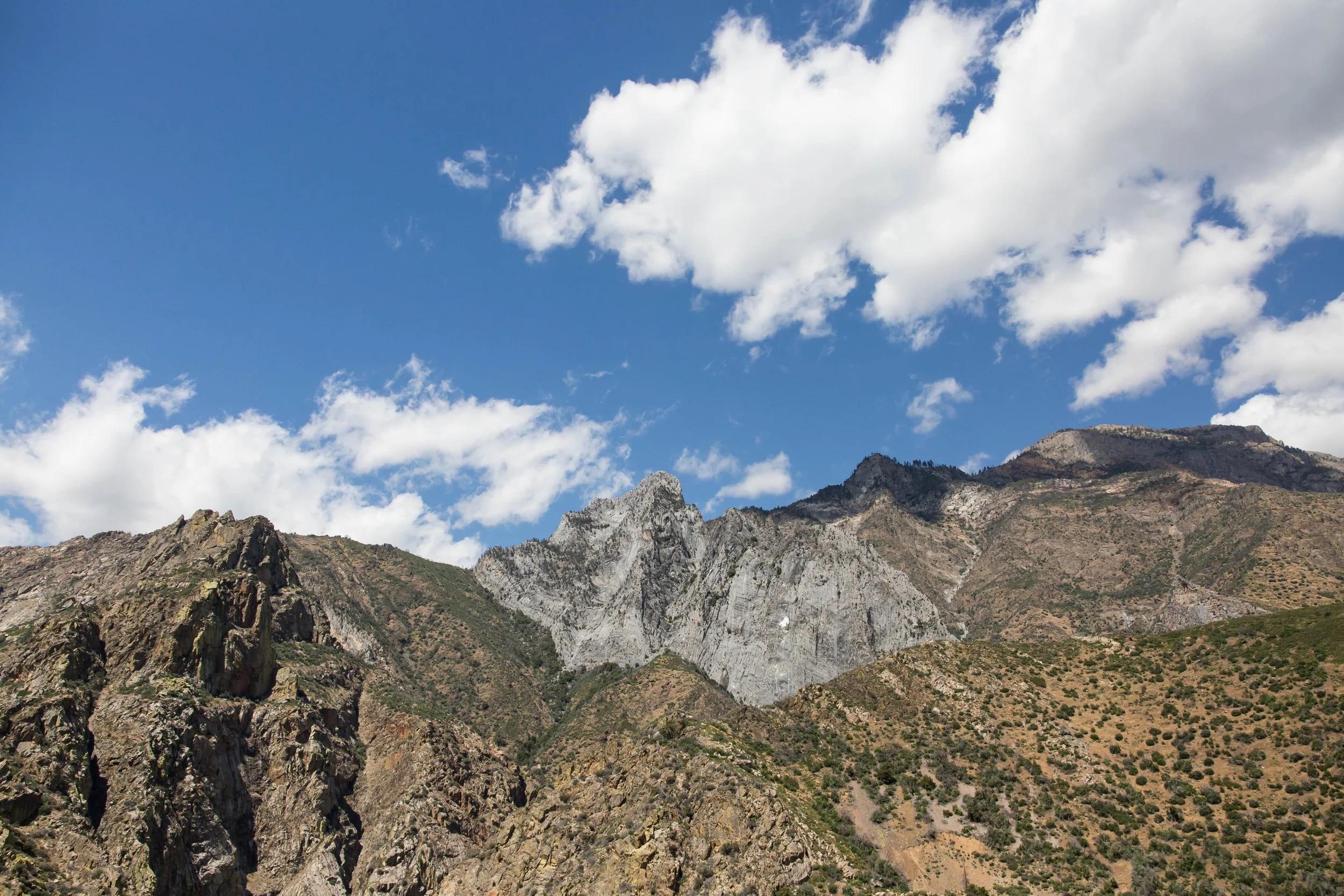 8_208686-kings canyon.jpg