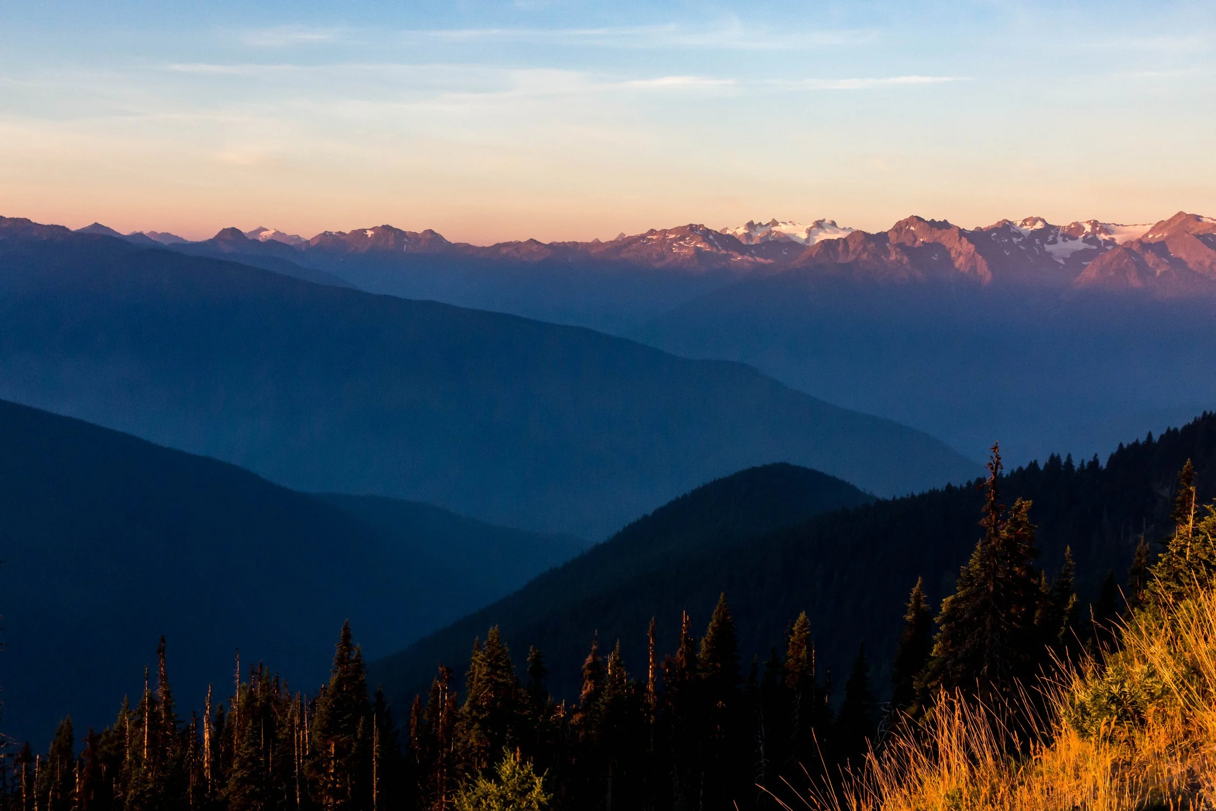 8_209423- Olympic.jpg