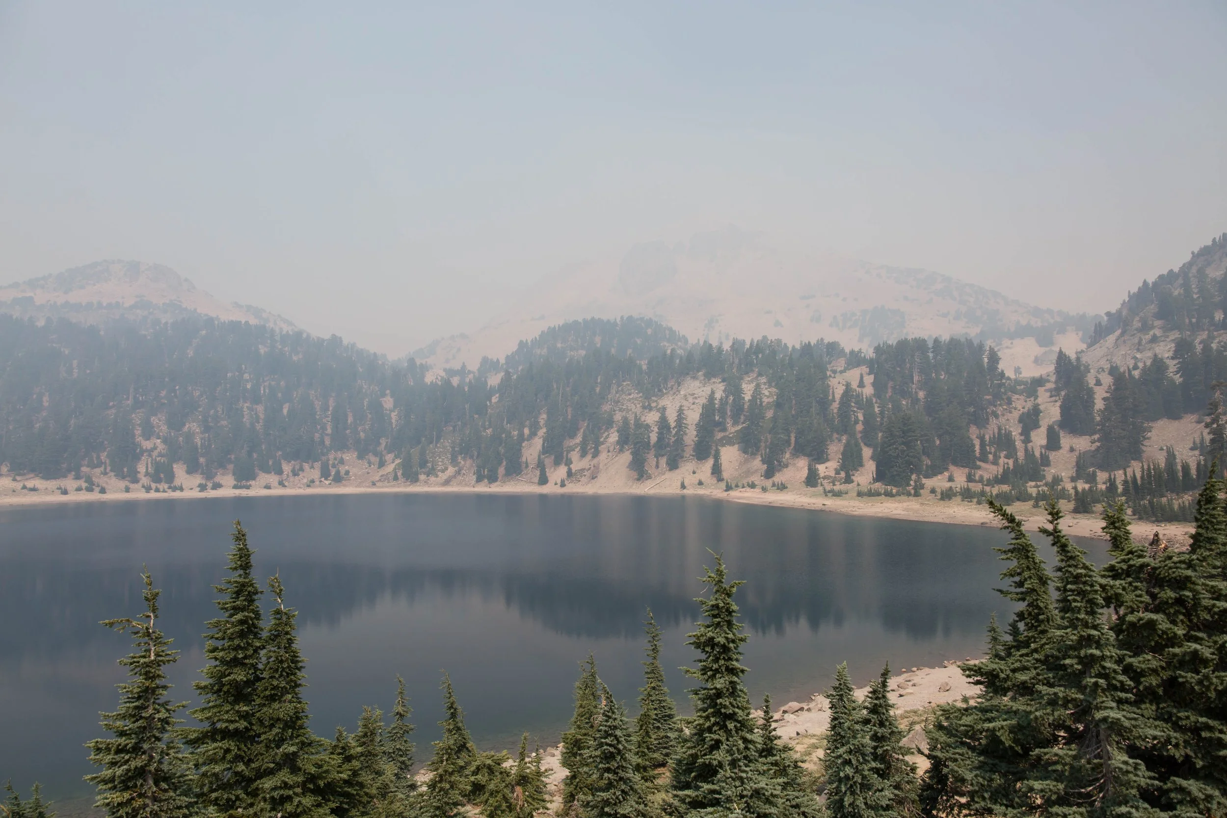 8_209489- Olympic.jpg