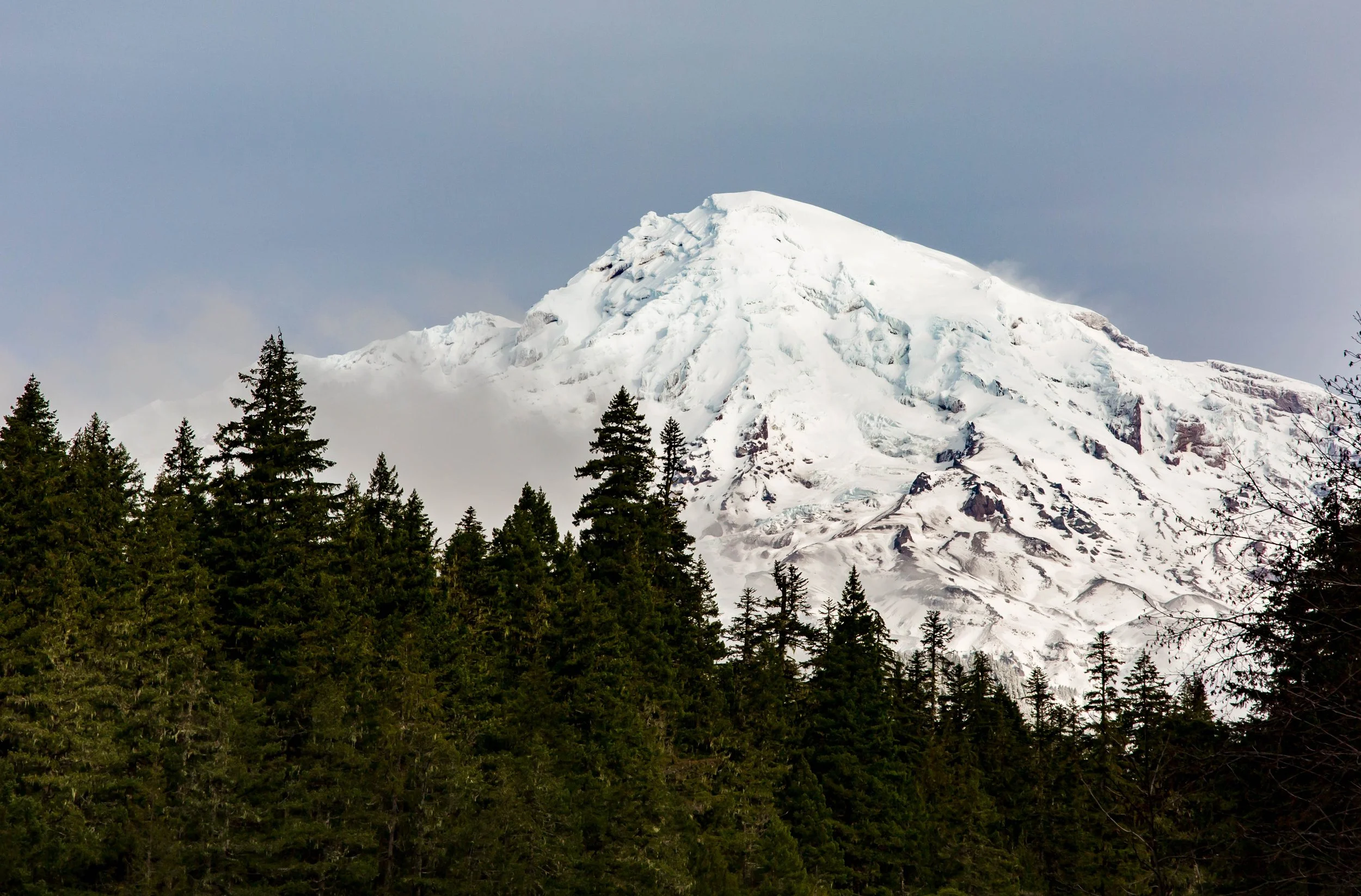 11_82772-mt rainier.jpg