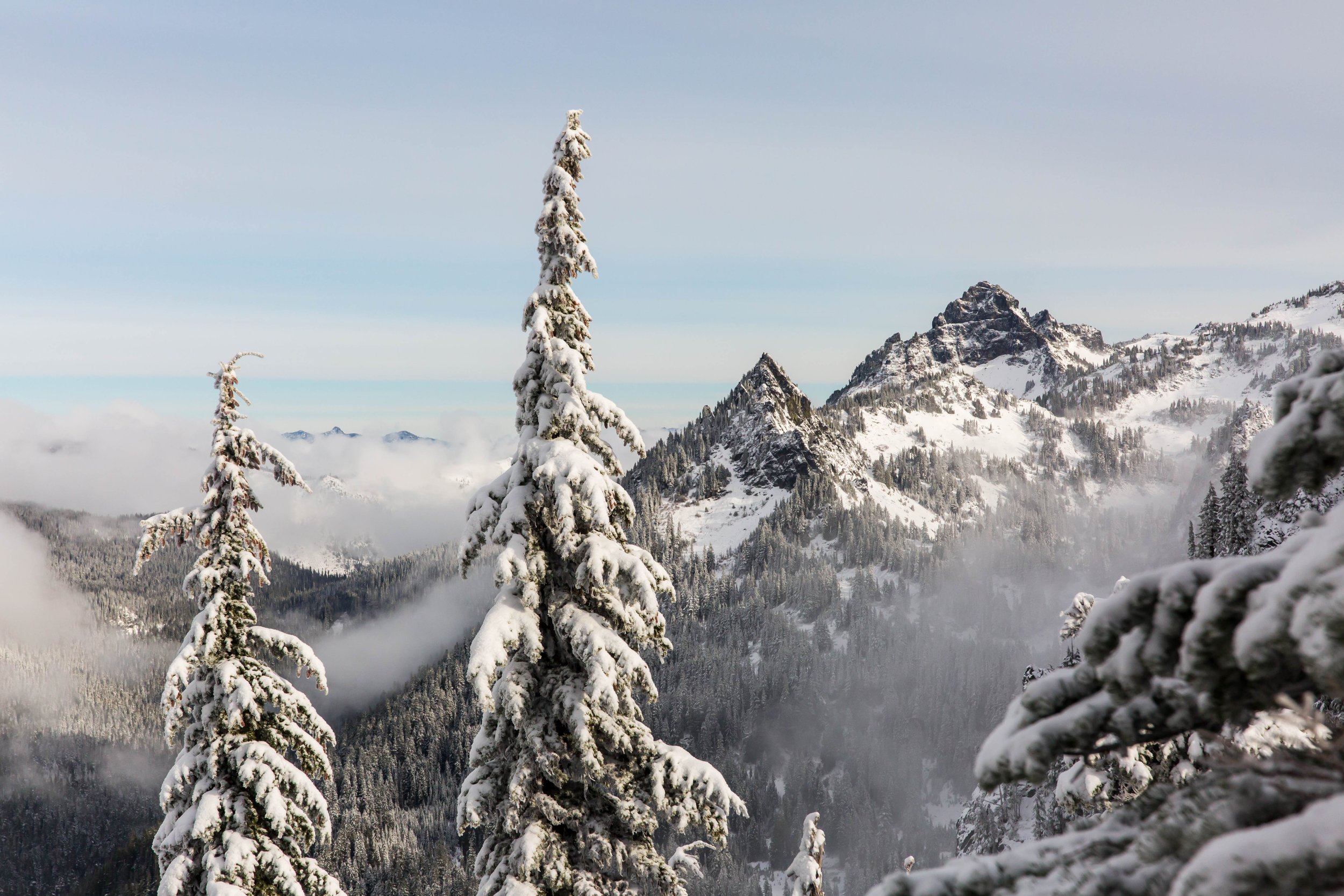 11_82814-mt rainier.jpg