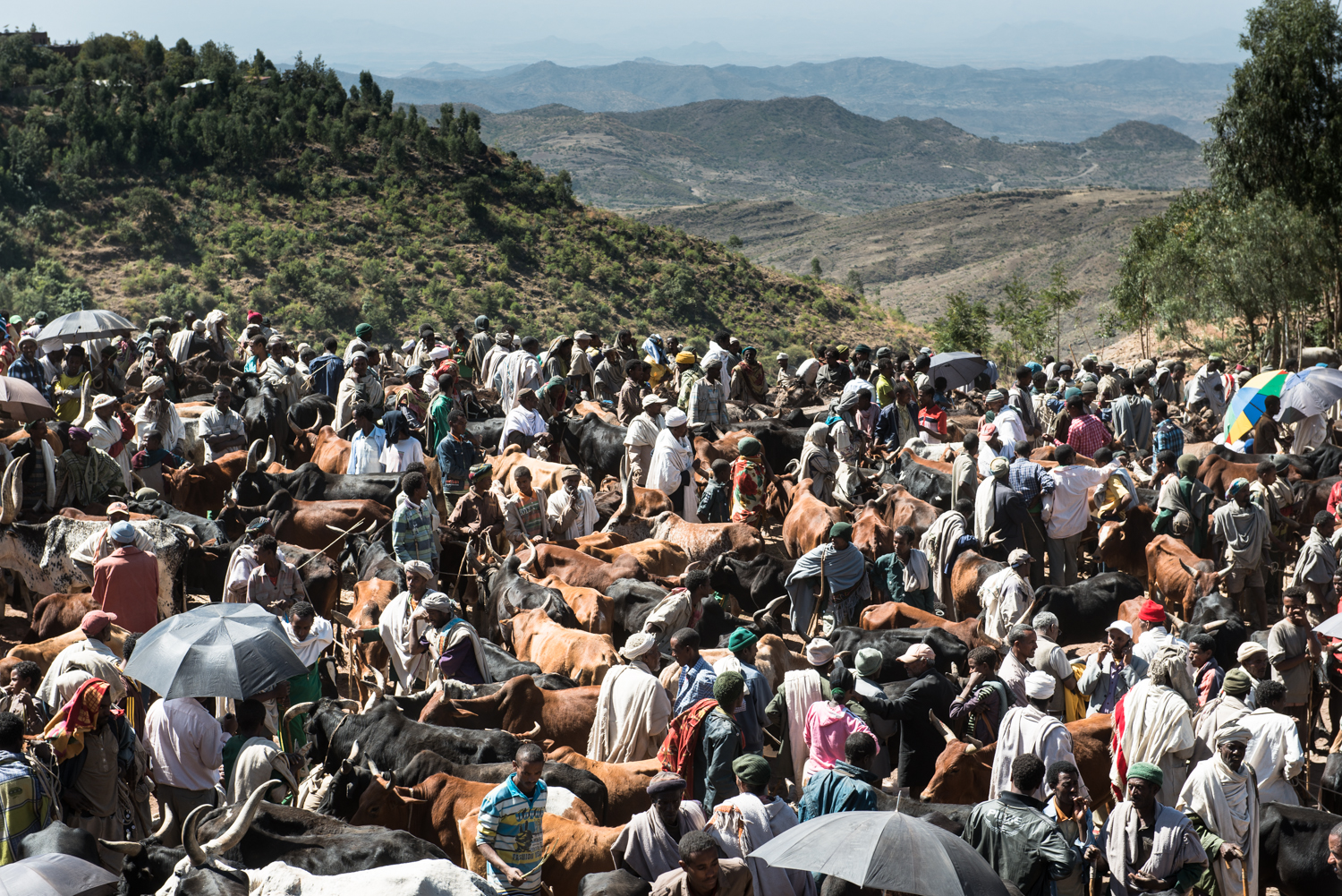 Lalibela Ethiopia