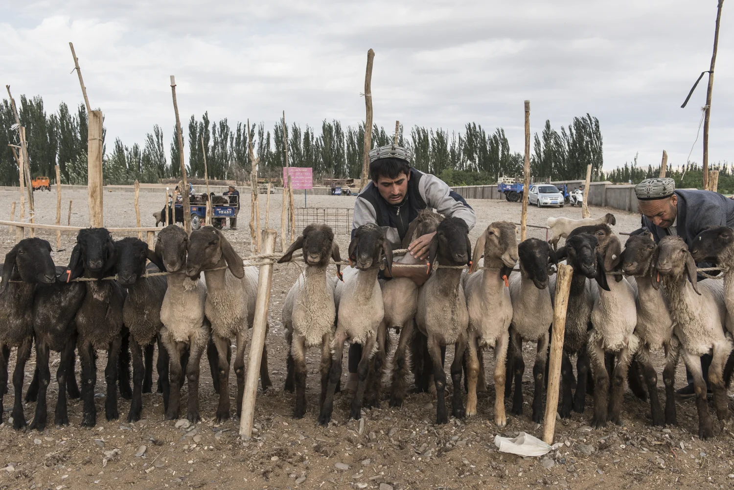 Discovery Channel The Silk Road David Baddiel