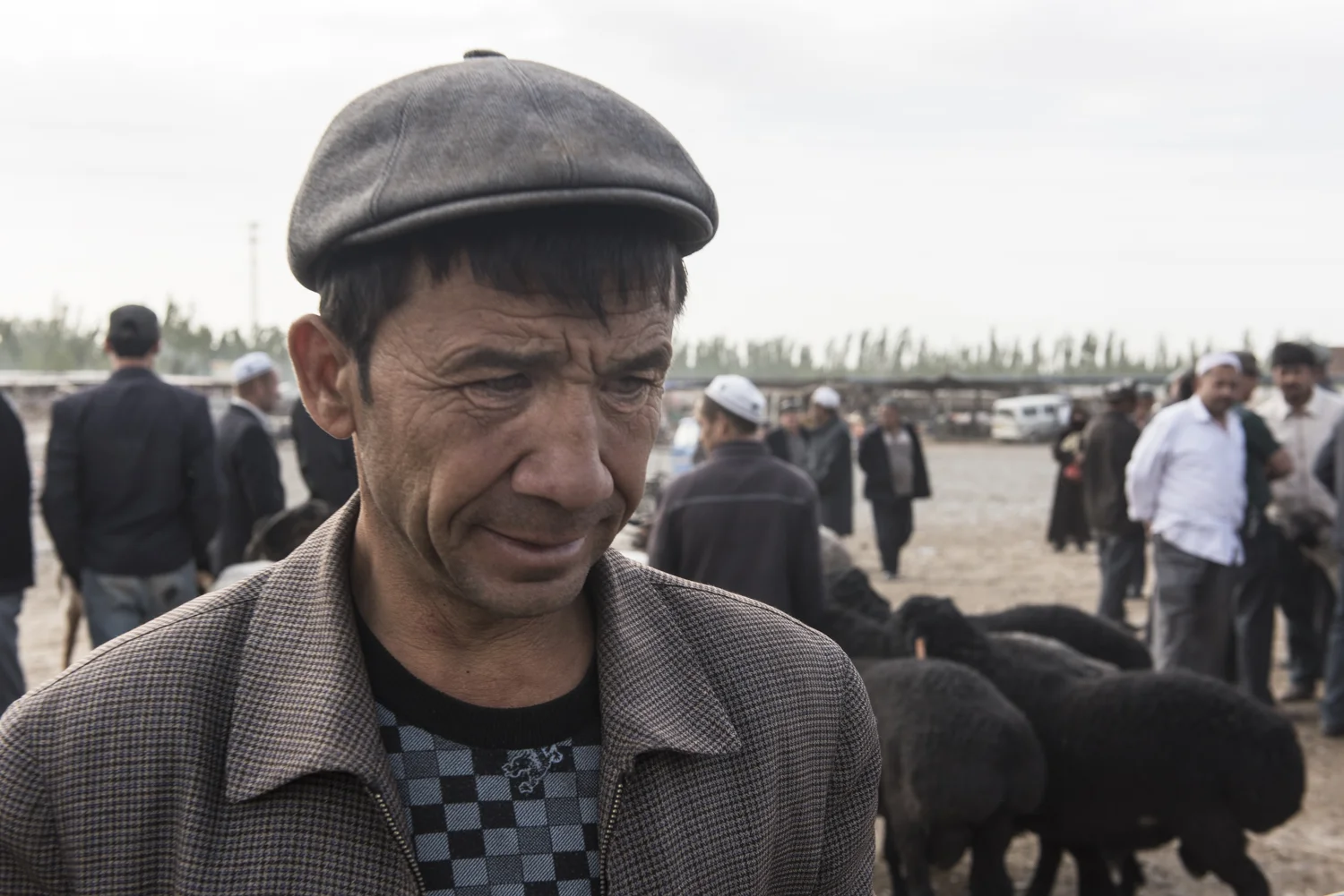 Discovery Channel The Silk Road David Baddiel