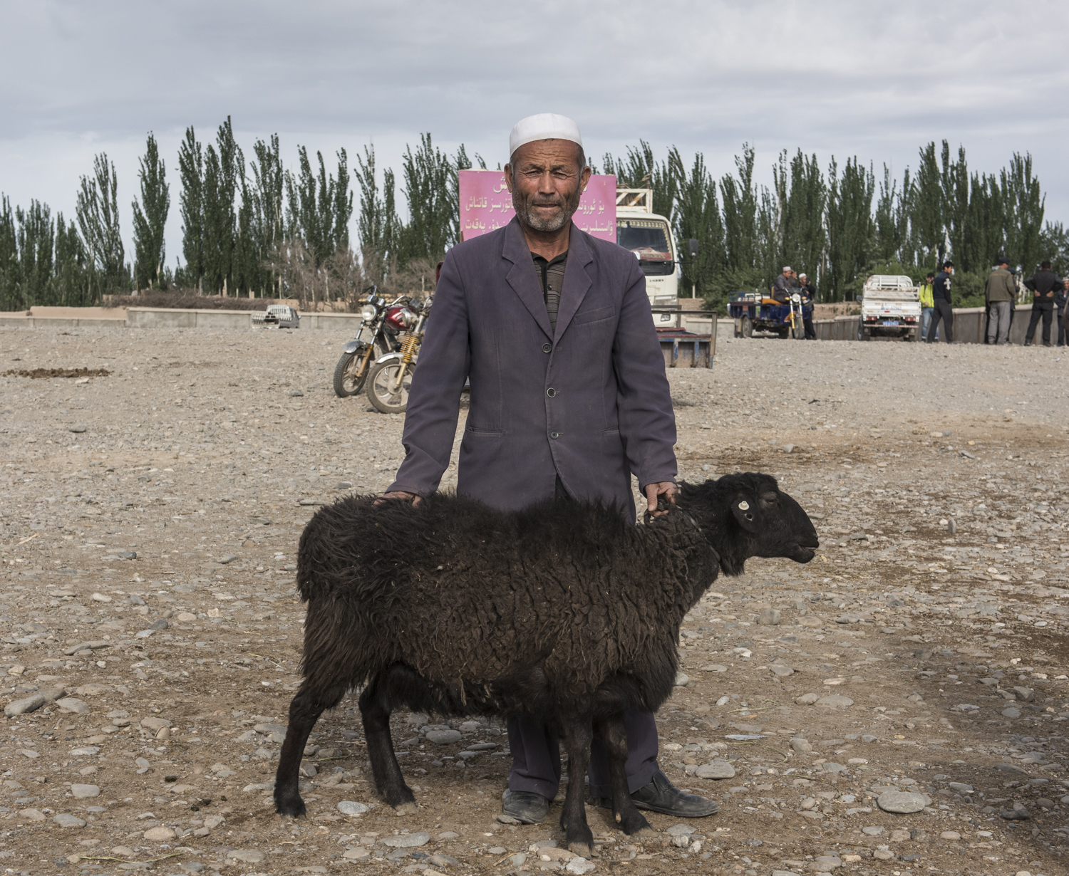  Discovery Channel The Silk Road David Baddiel 