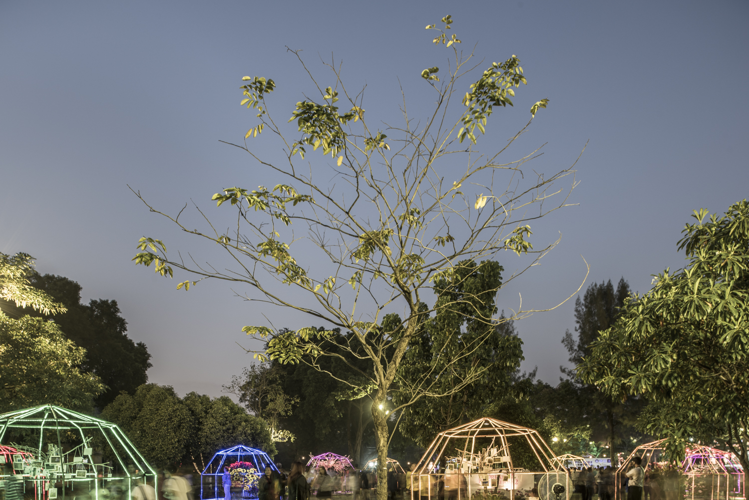 Happiness Trees, Lumphini Park, Bangkok, Thailand, 2015