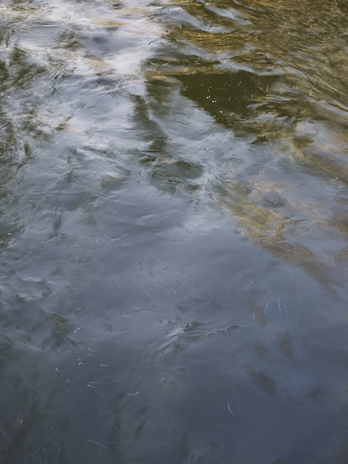 liquid bangkok 12, Bangkok, 2016