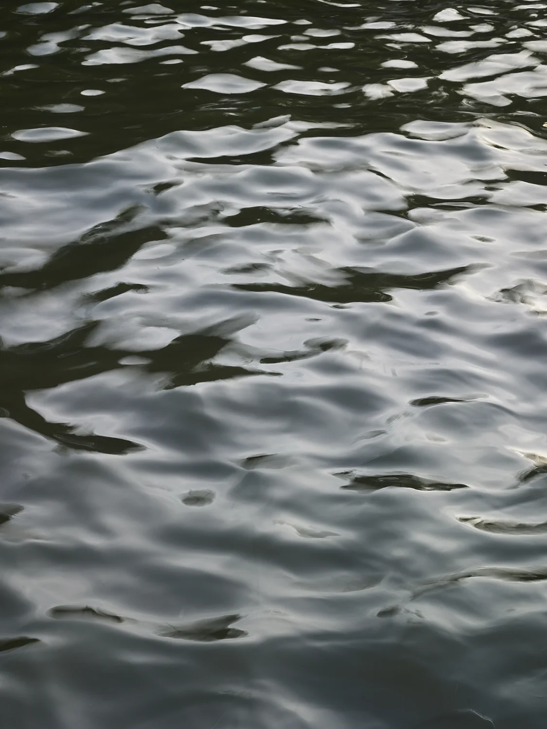 liquid bangkok 28, Bangkok, 2016