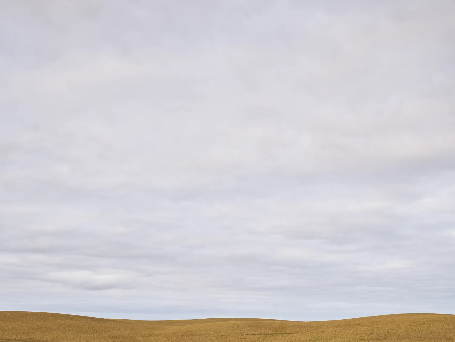 cleared 05, East of Kayville, Saskatchewan, Canada, 2017
