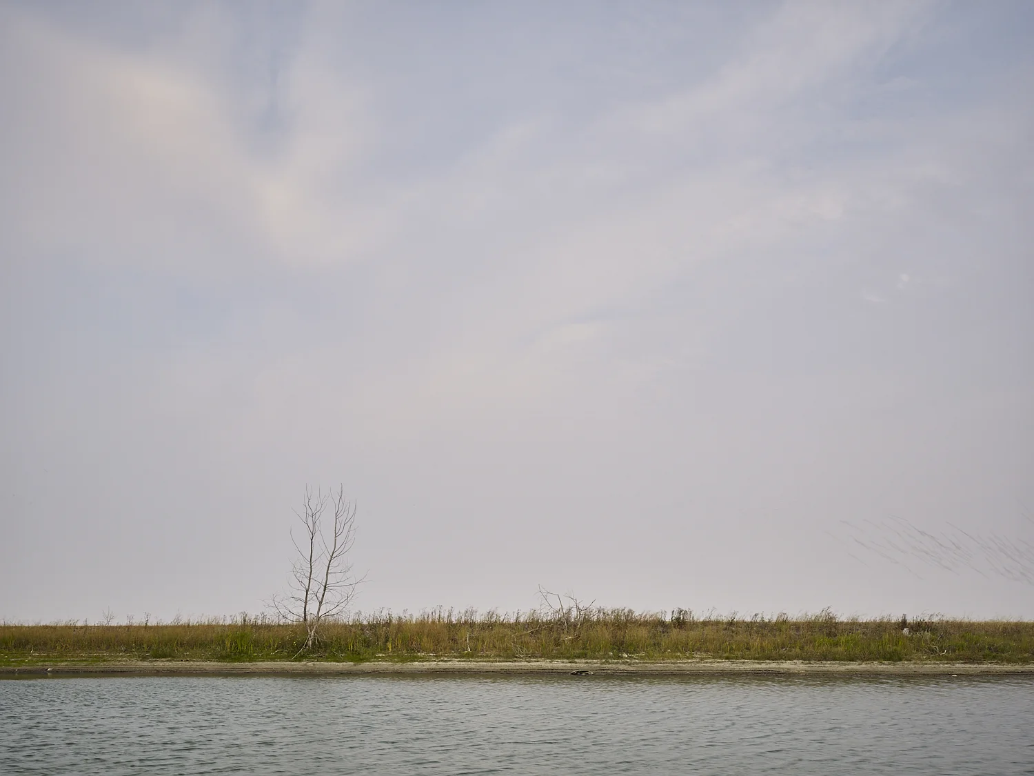 cleared 06, Dugout north of Indian Head, Saskatchewan, Canada, 2017