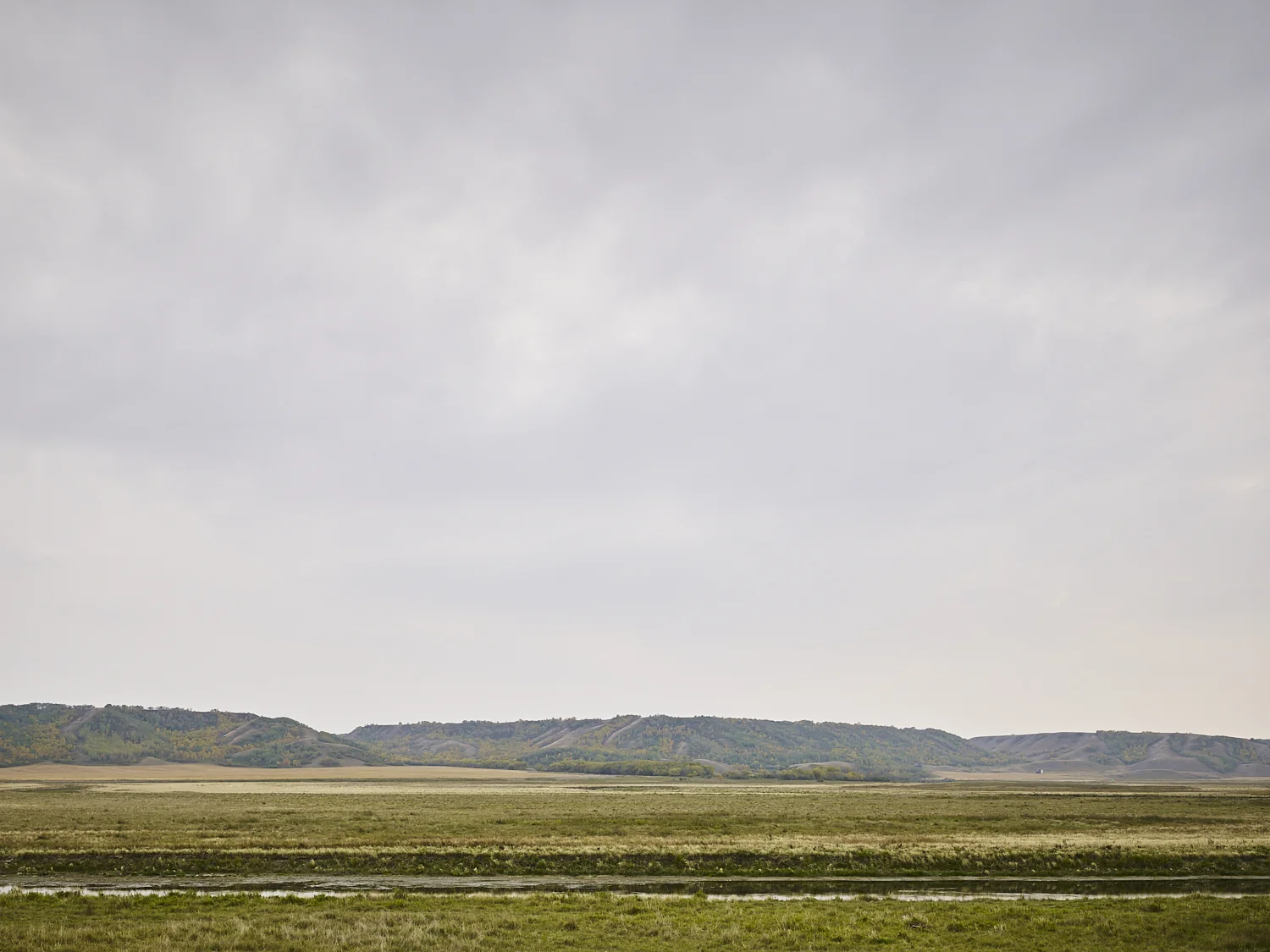 cleared 07, Qu'appelle River, south of Katepwa Lake, Saskatchewan, Canada, 2017